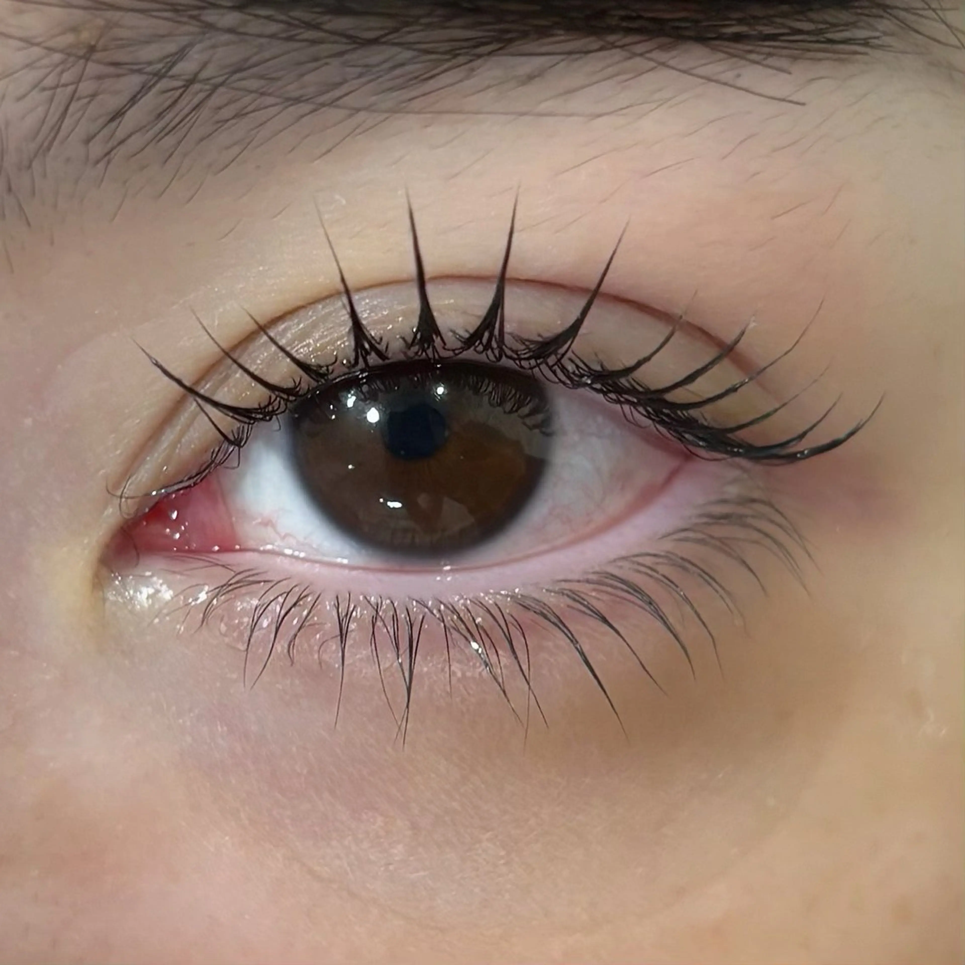 マツエク・マツパ マツパ BIANCA🤍🎀 OGAWAのマツエク・マツパデザイン