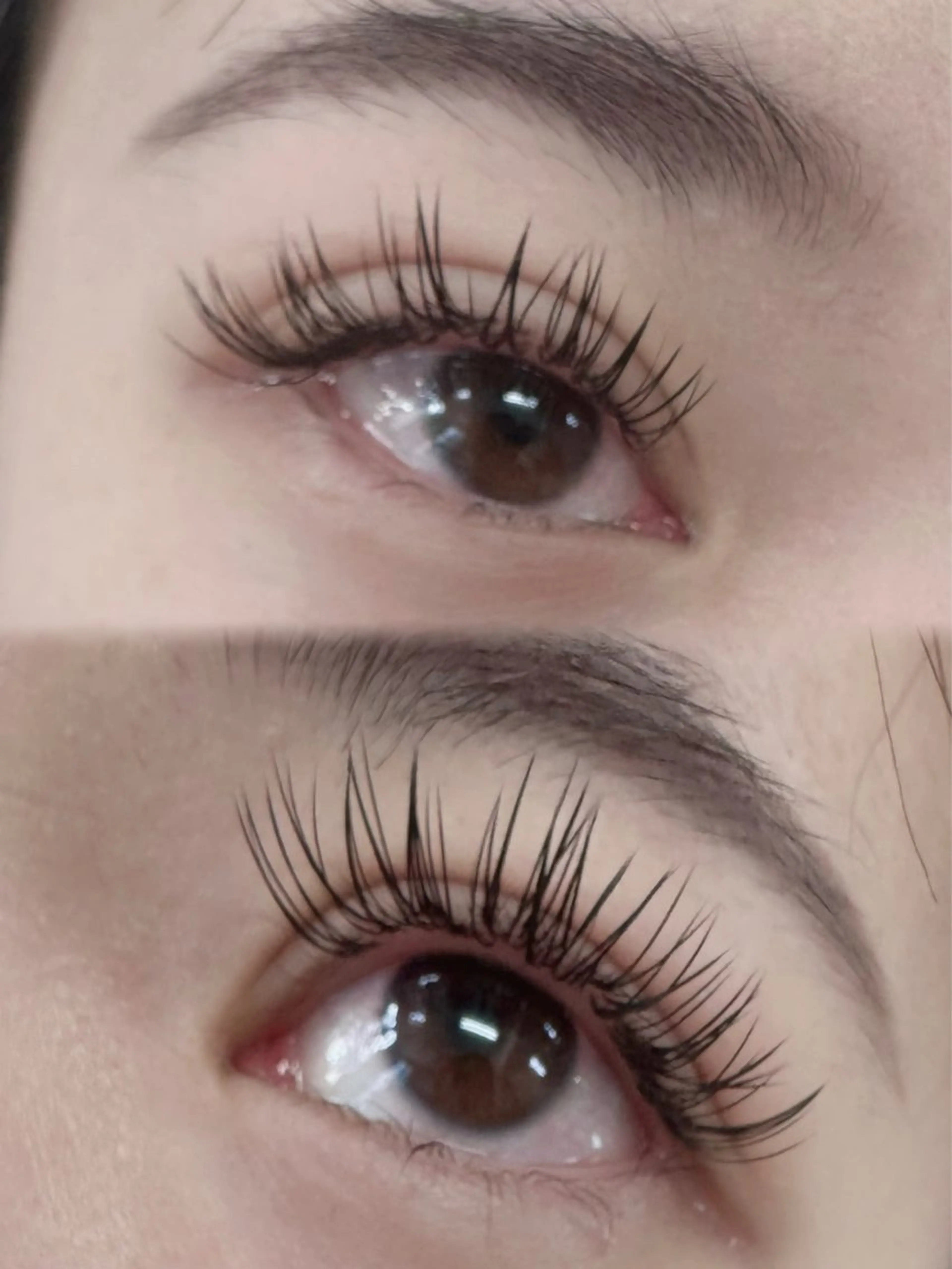 マツエク・マツパ Cカール キュート TRU🍑 MOMOの眉毛・アイブロウイメージ