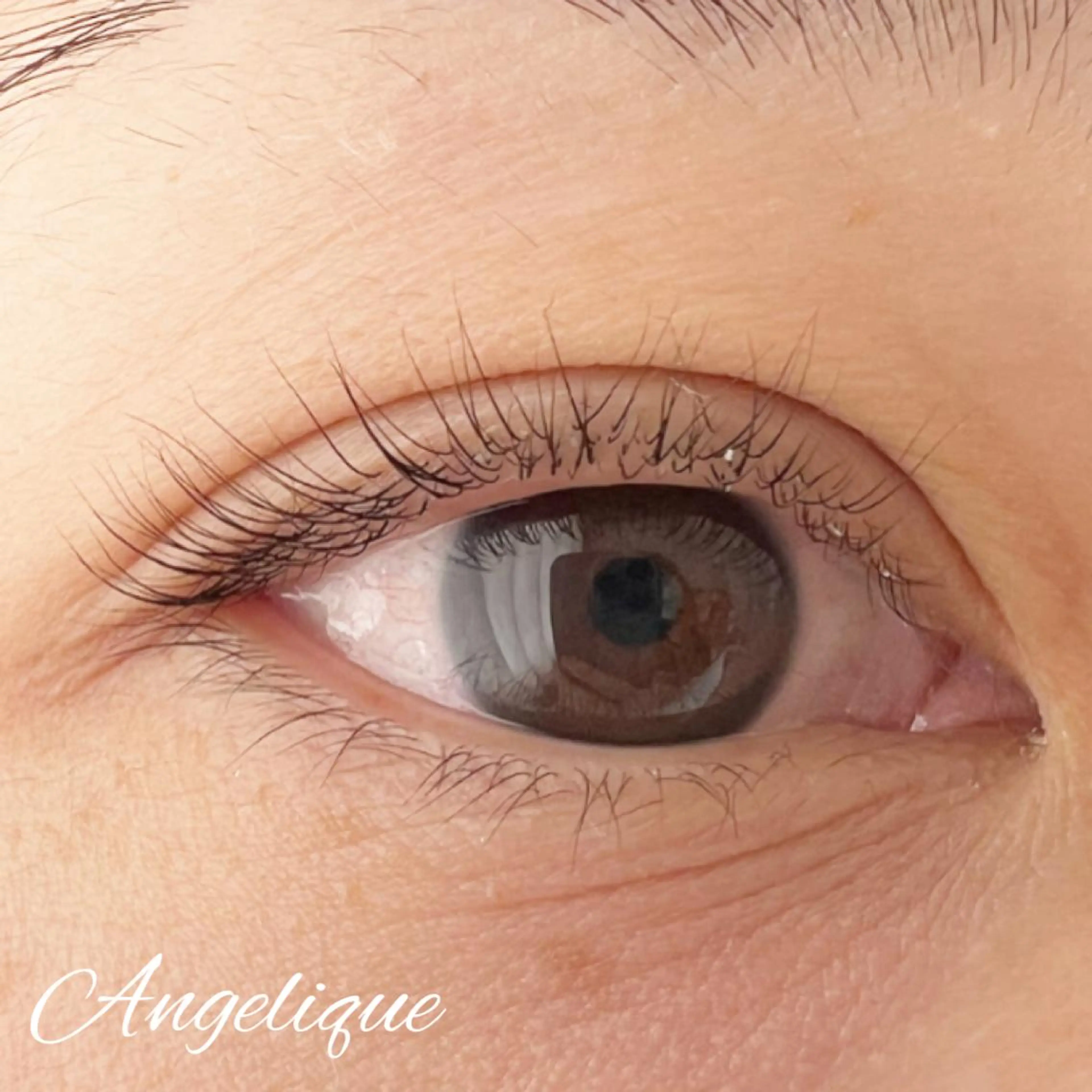 マツエク・マツパ 一重×まつ毛パーマ 田村 莉子のマツエク・マツパデザイン