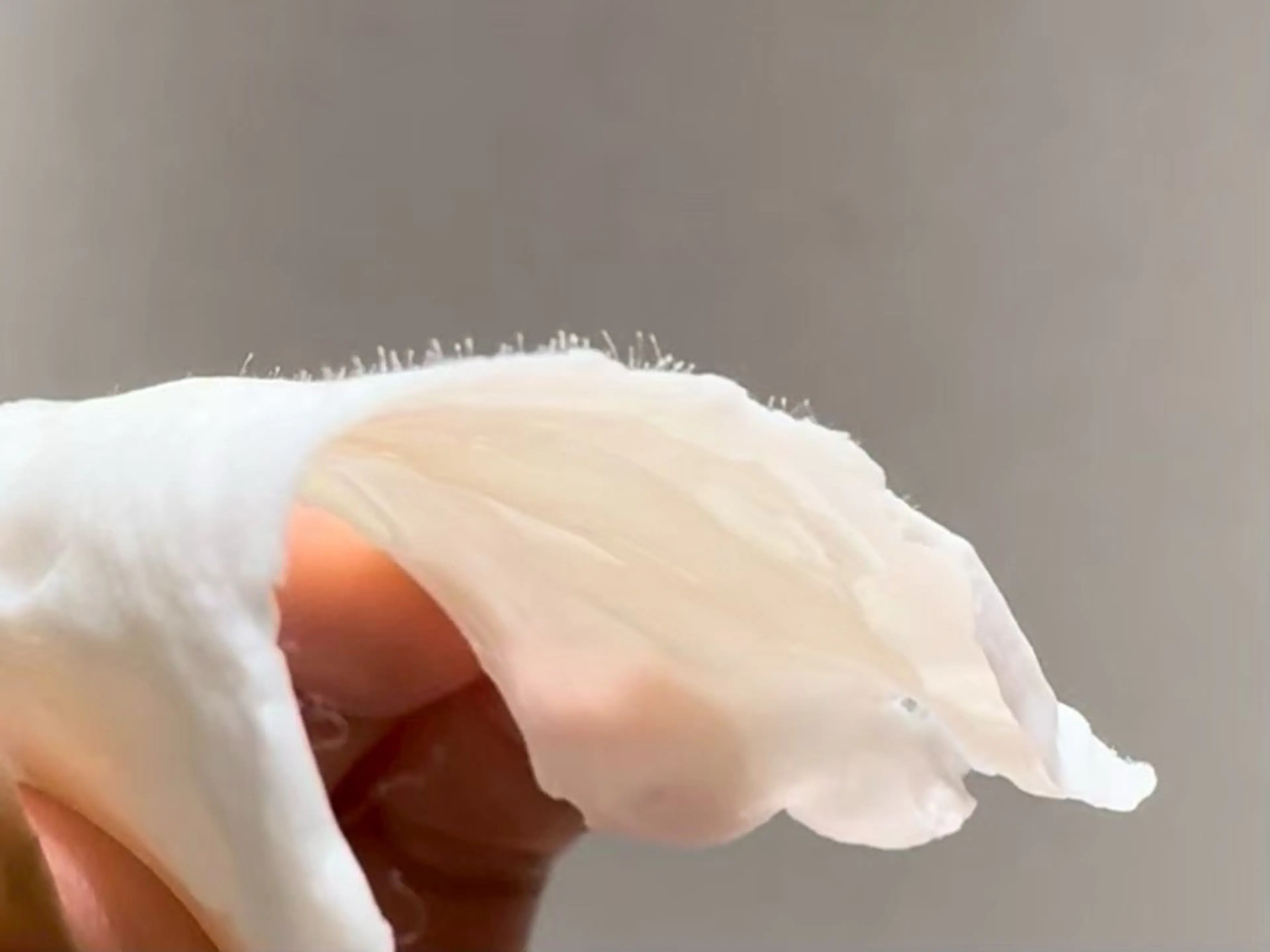 エステ 毛穴洗浄 ワックス脱毛のエステ・リラクイメージ