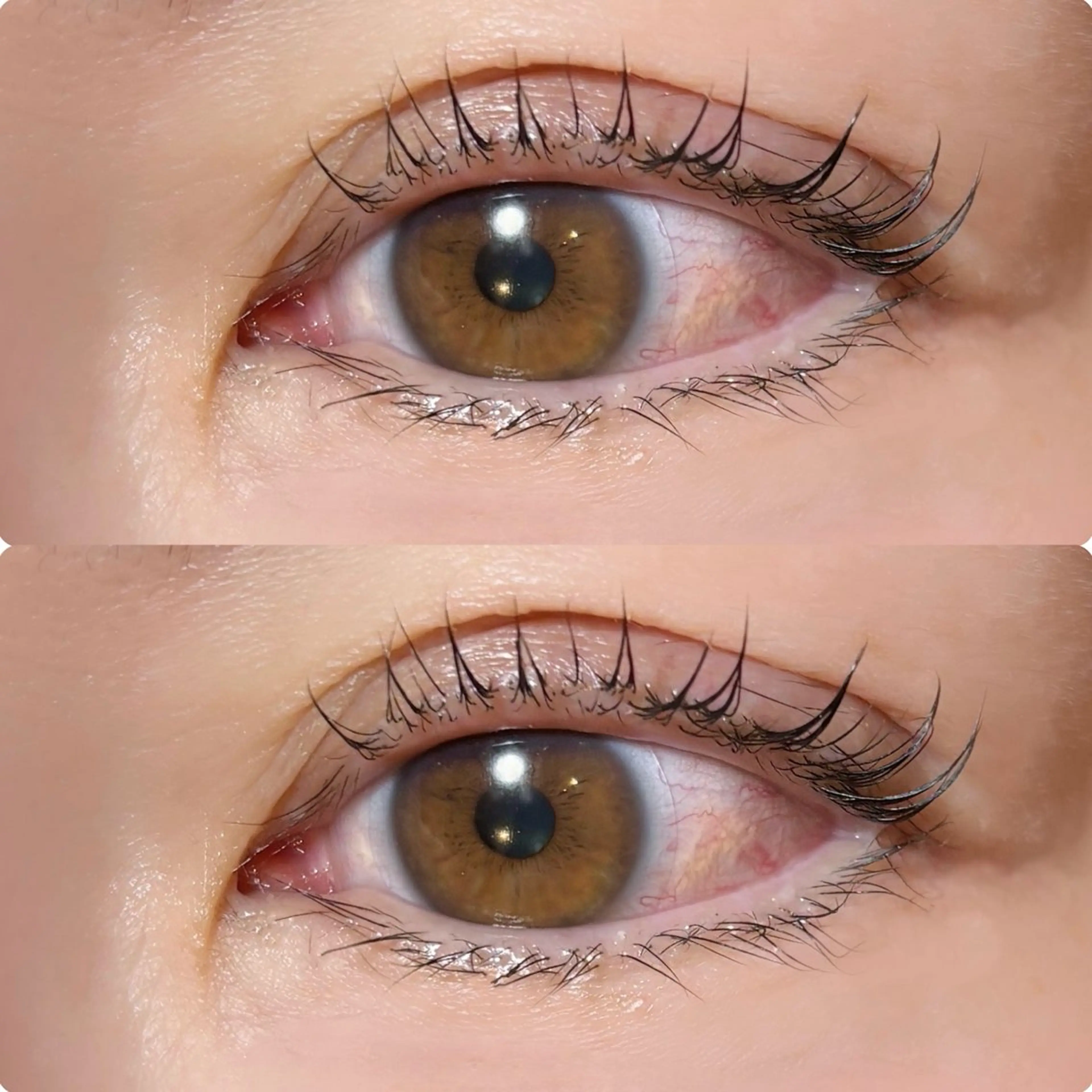 マツエク・マツパ meguru／マツパ ／マツエク／束感のマツエク・マツパデザイン