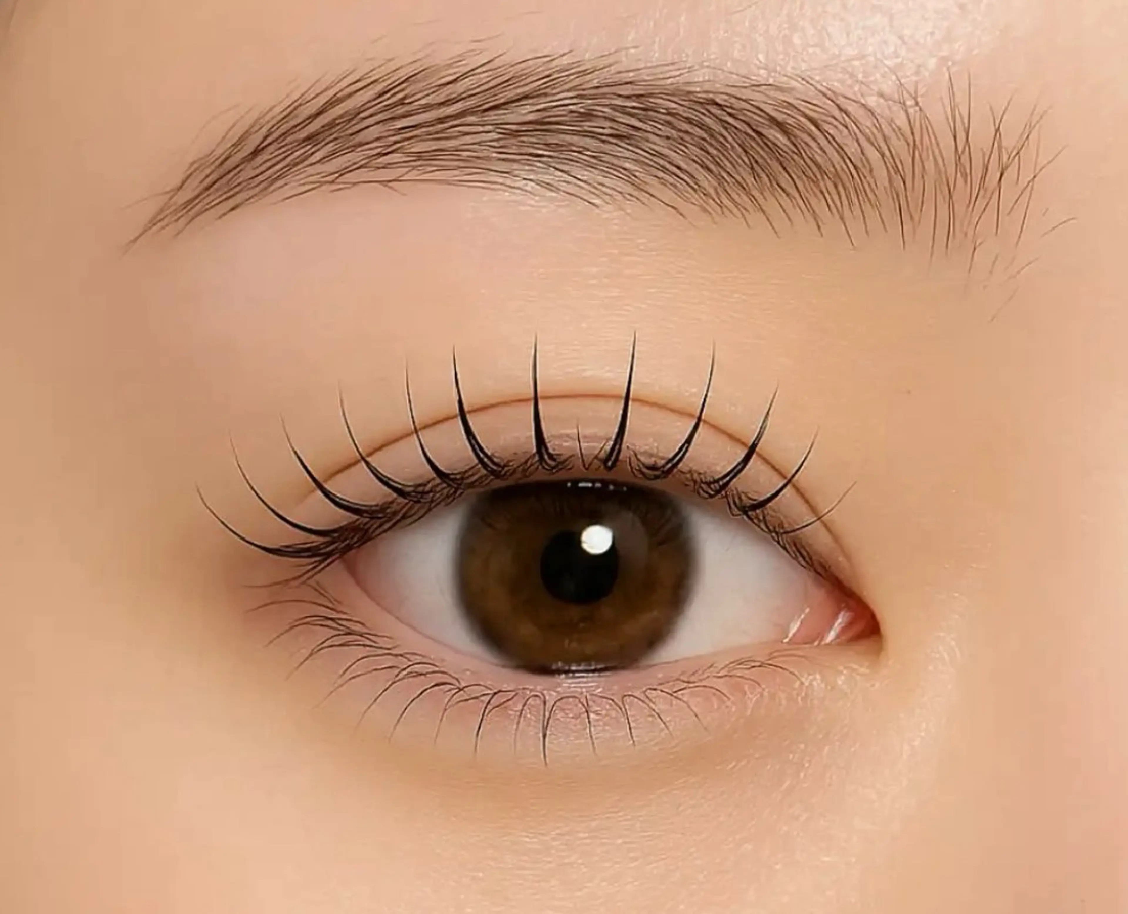 マツエク・マツパ L.eyelash&Beauty所属・エル アイラッシュのマツエク・マツパデザイン