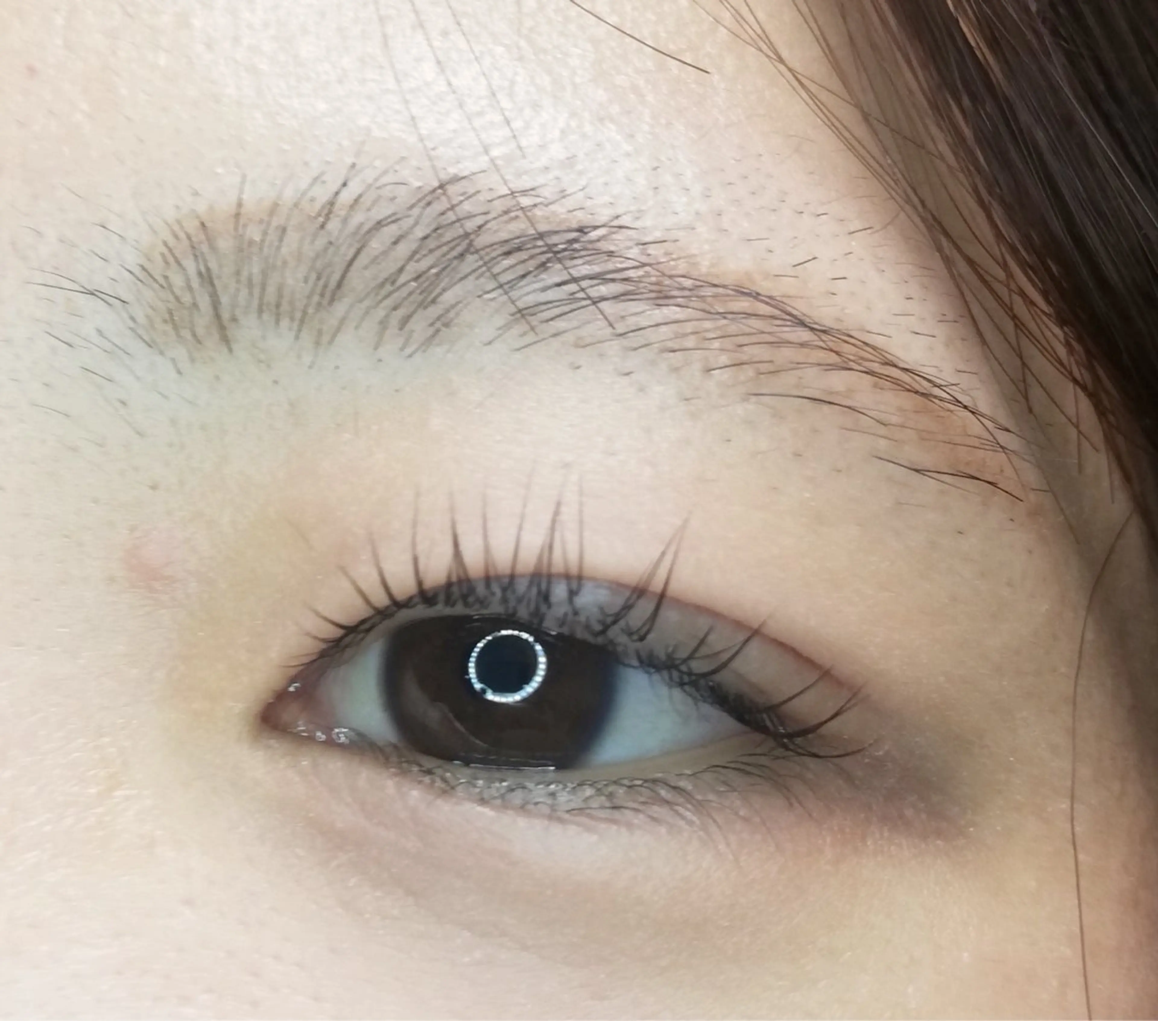 マツエク・マツパ まつげ専門 アデールのマツエク・マツパデザイン