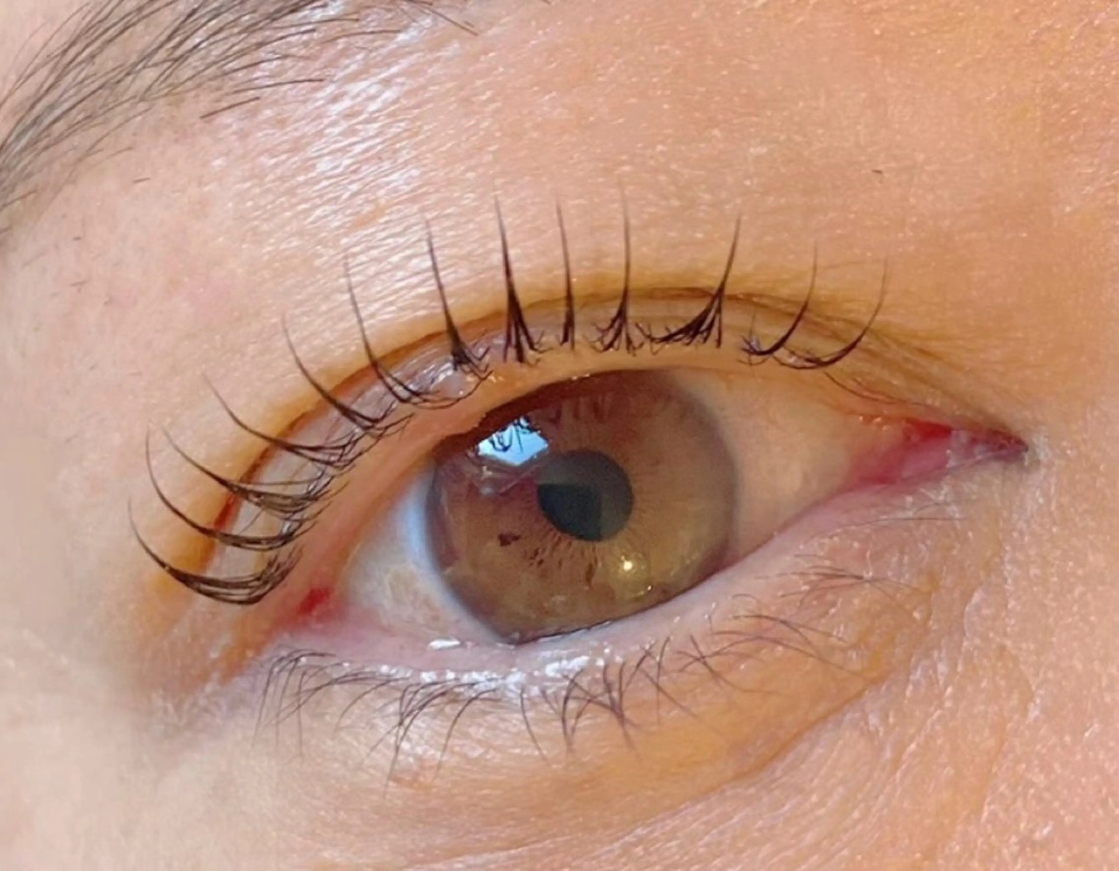 マツエク・マツパ 束感まつ毛 韓国風マツエク マツパ Jessica 清水🎀✨のエステ・リラクイメージ