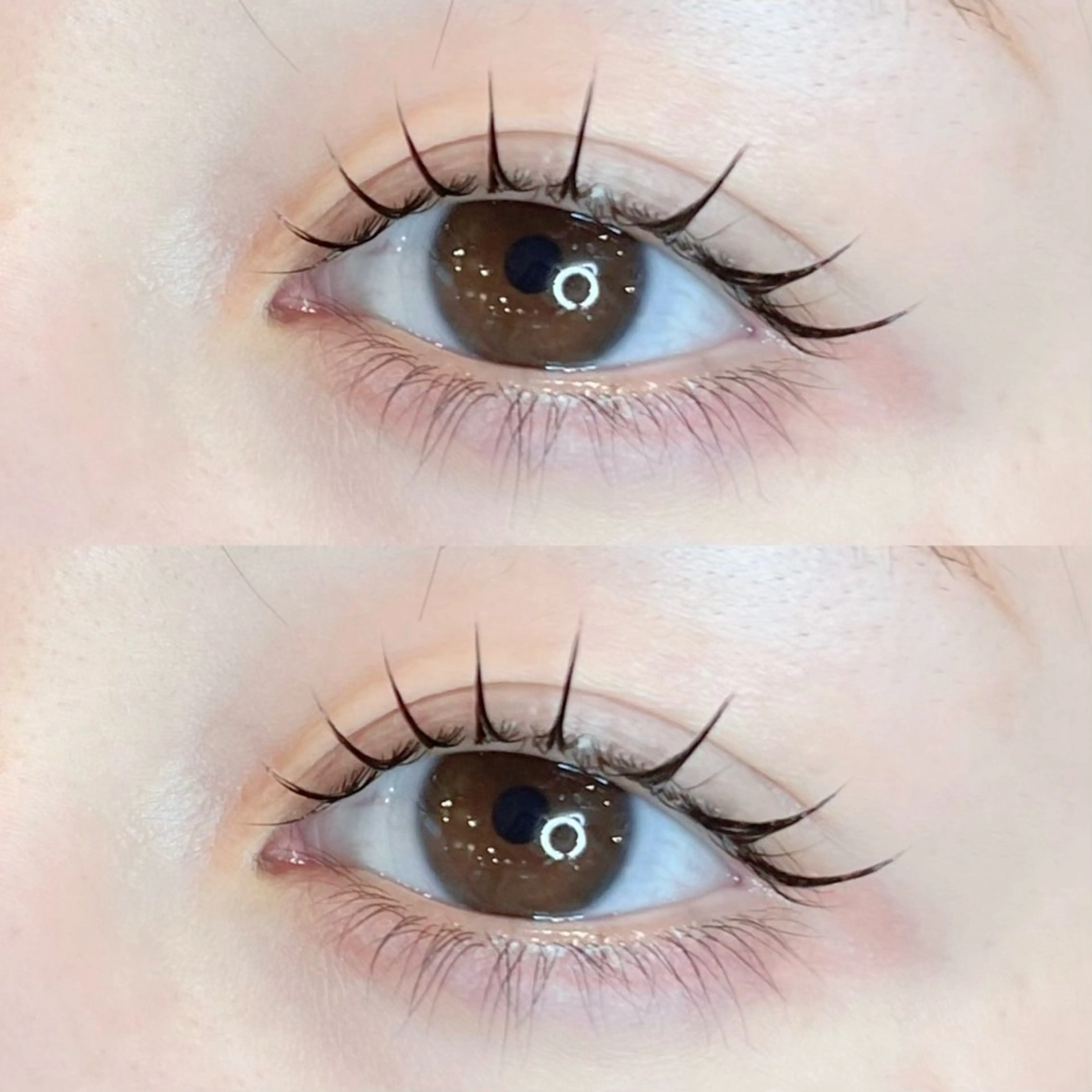 ✨フラットラッシュ✨80本5000/ 100本￥5500の写真