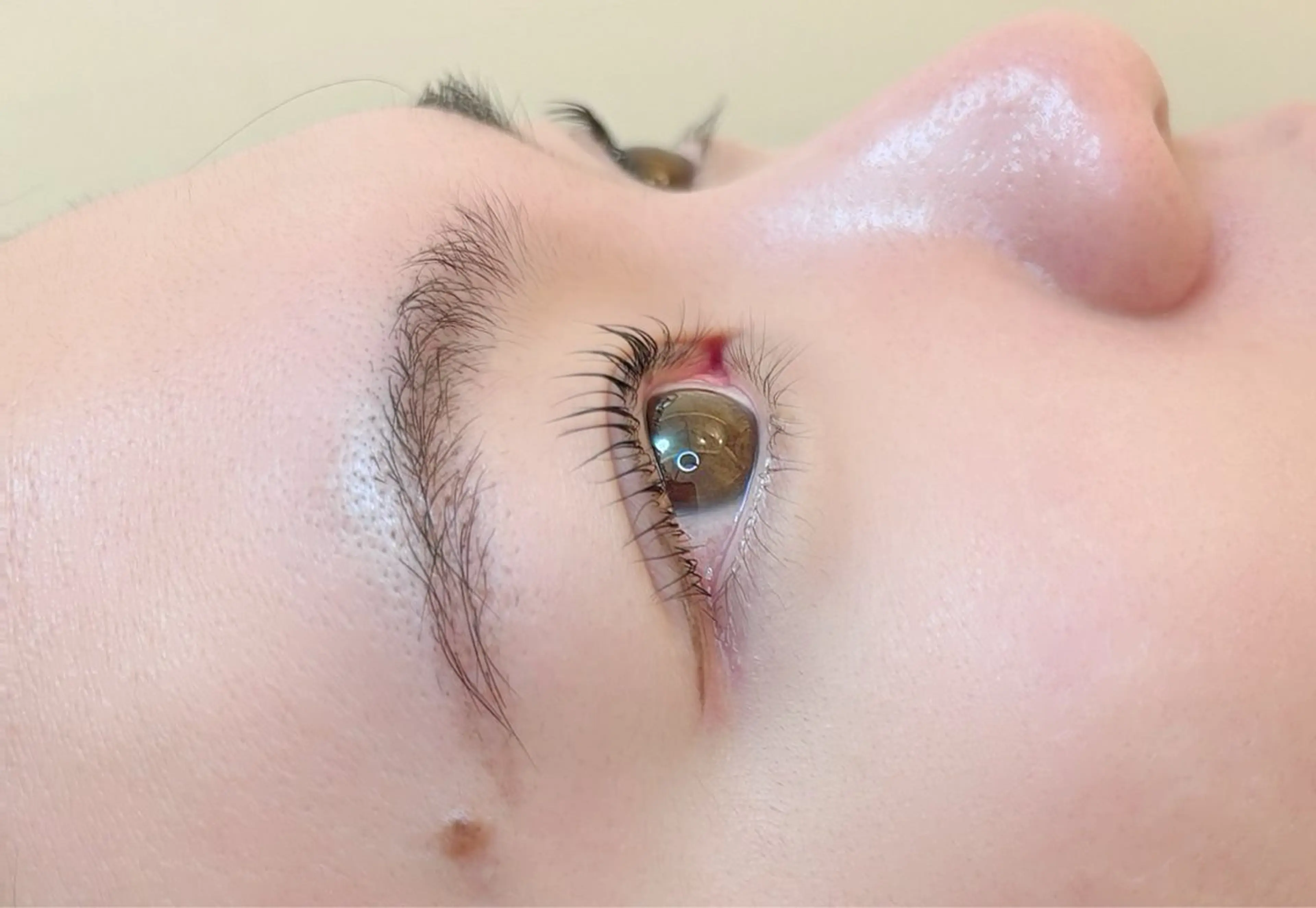 マツエク・マツパ どんぐりエステルーム 🍄みゆきの眉毛・アイブロウイメージ