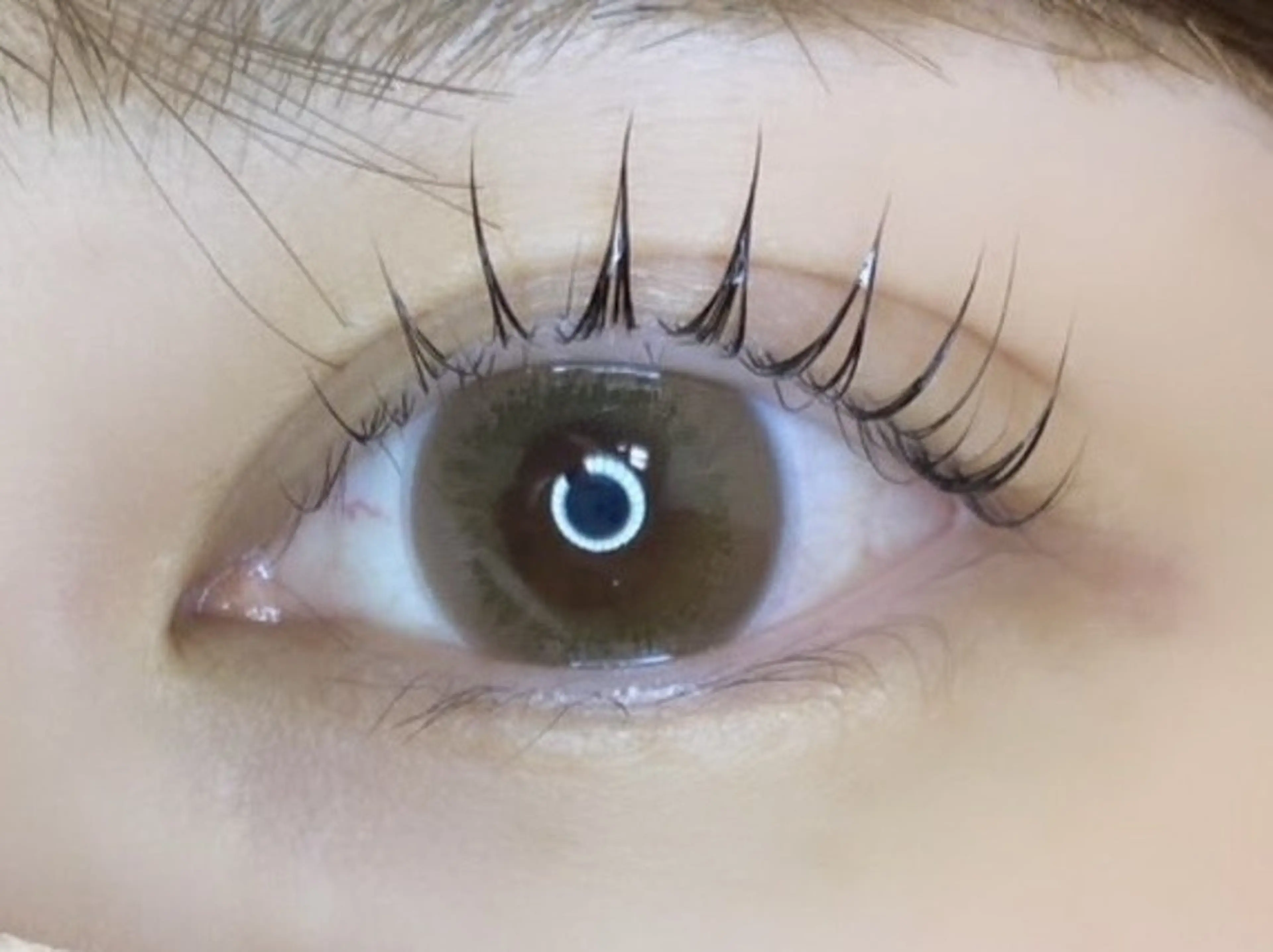 🙆🌈次世代まつ毛パーマ🌻🦄⚠️補足説明を必ずご確認お願いいたします。の写真