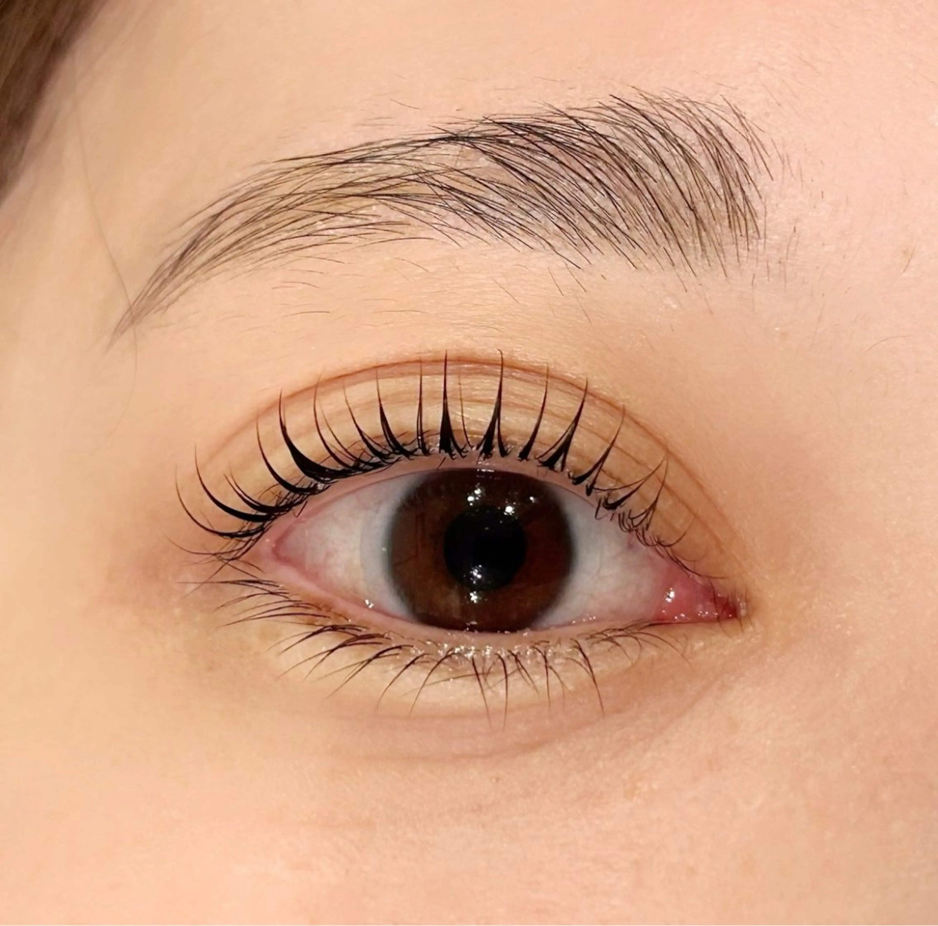 マツエク・マツパ 一重×まつ毛パーマ ニコットラッシュ 京橋のマツエク・マツパデザイン