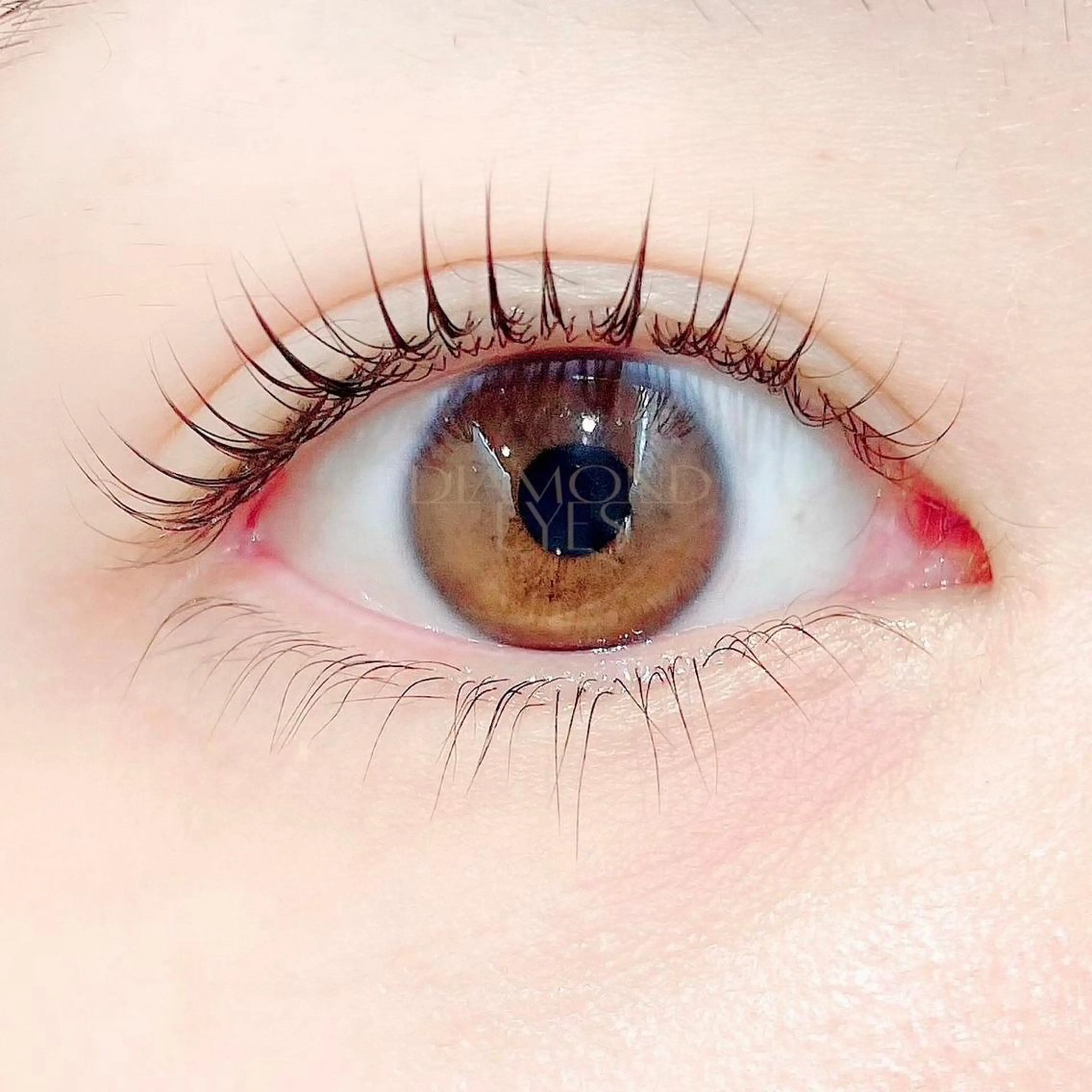 ご新規様限定価格💙ラッシュリフト💍パリジェンヌもの写真