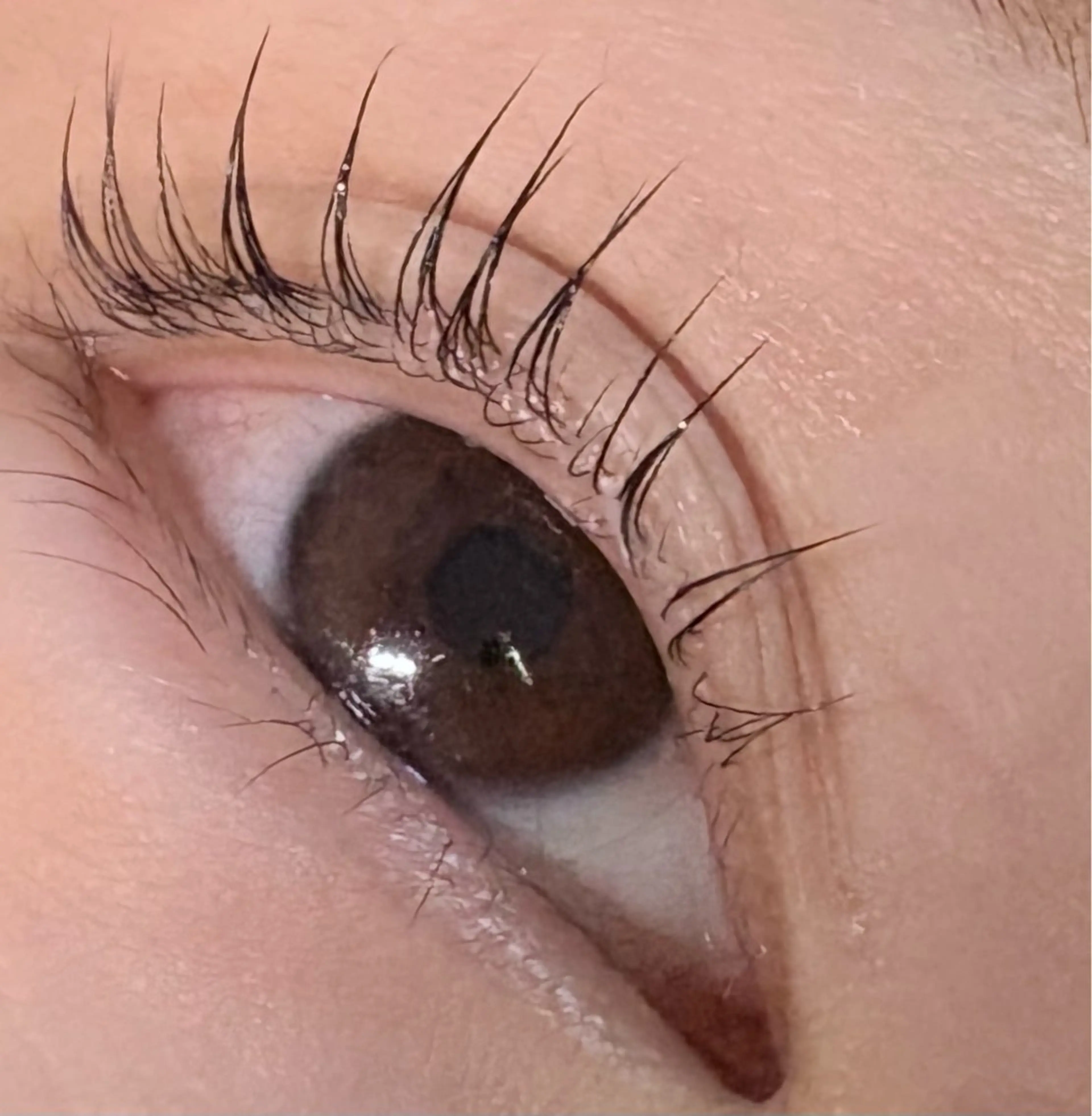 マツエク・マツパ トータルビューティー サロン・Ｎの眉毛・アイブロウイメージ