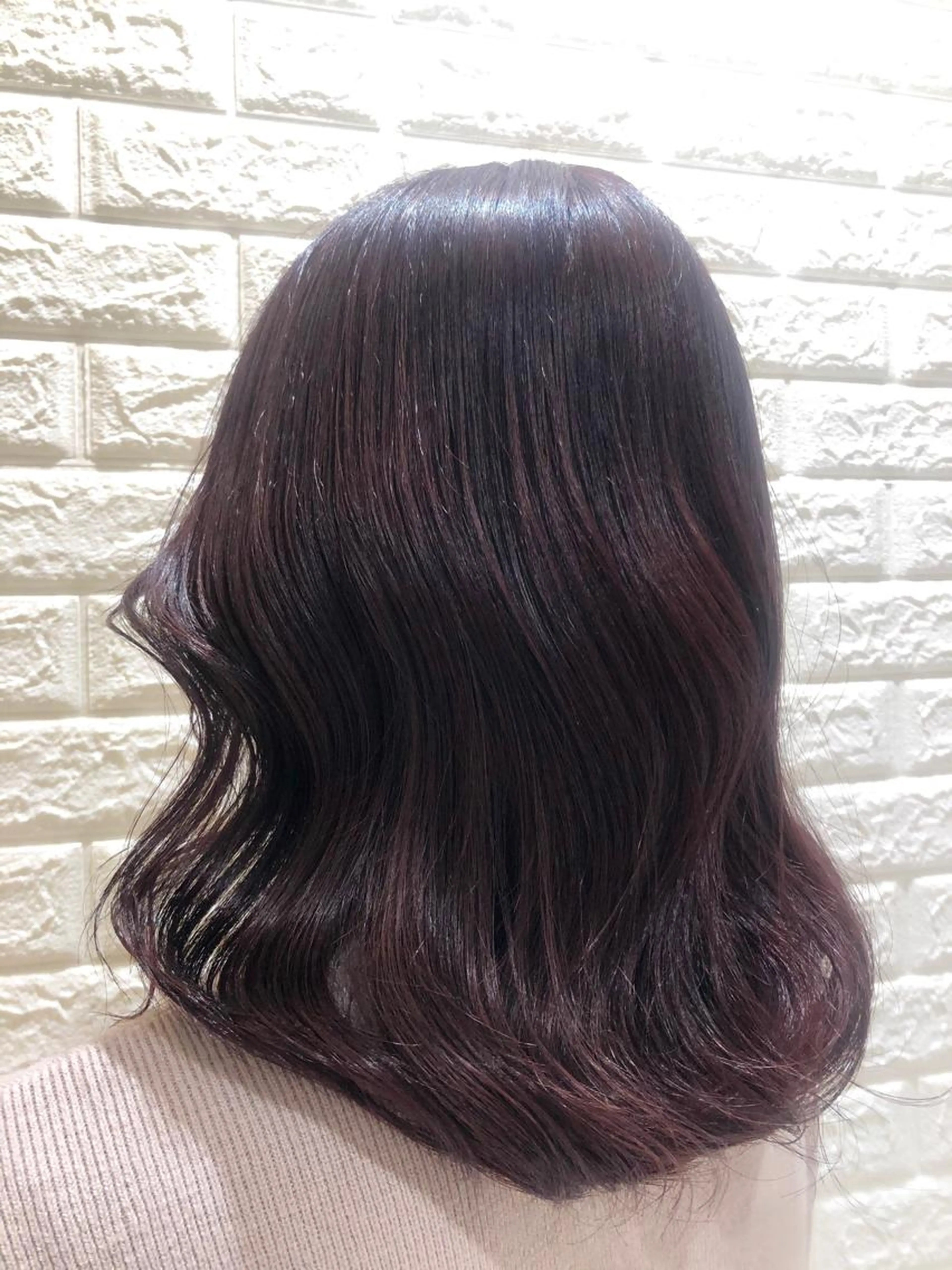 再来限定！カラーのみ♡の写真