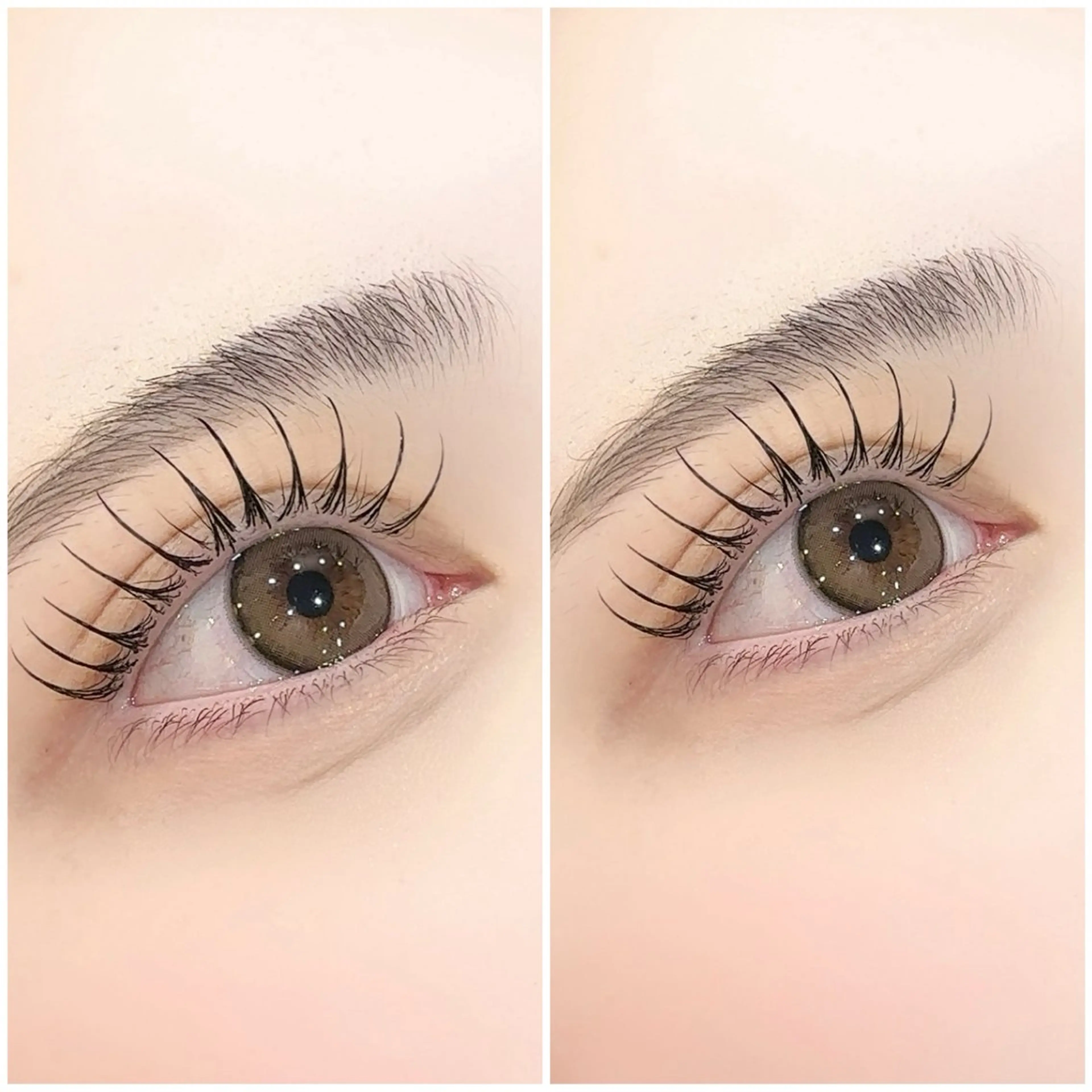 【ミニモ限定価格✨️】LEDマツエク💖フラットマットラッシュ100本の写真