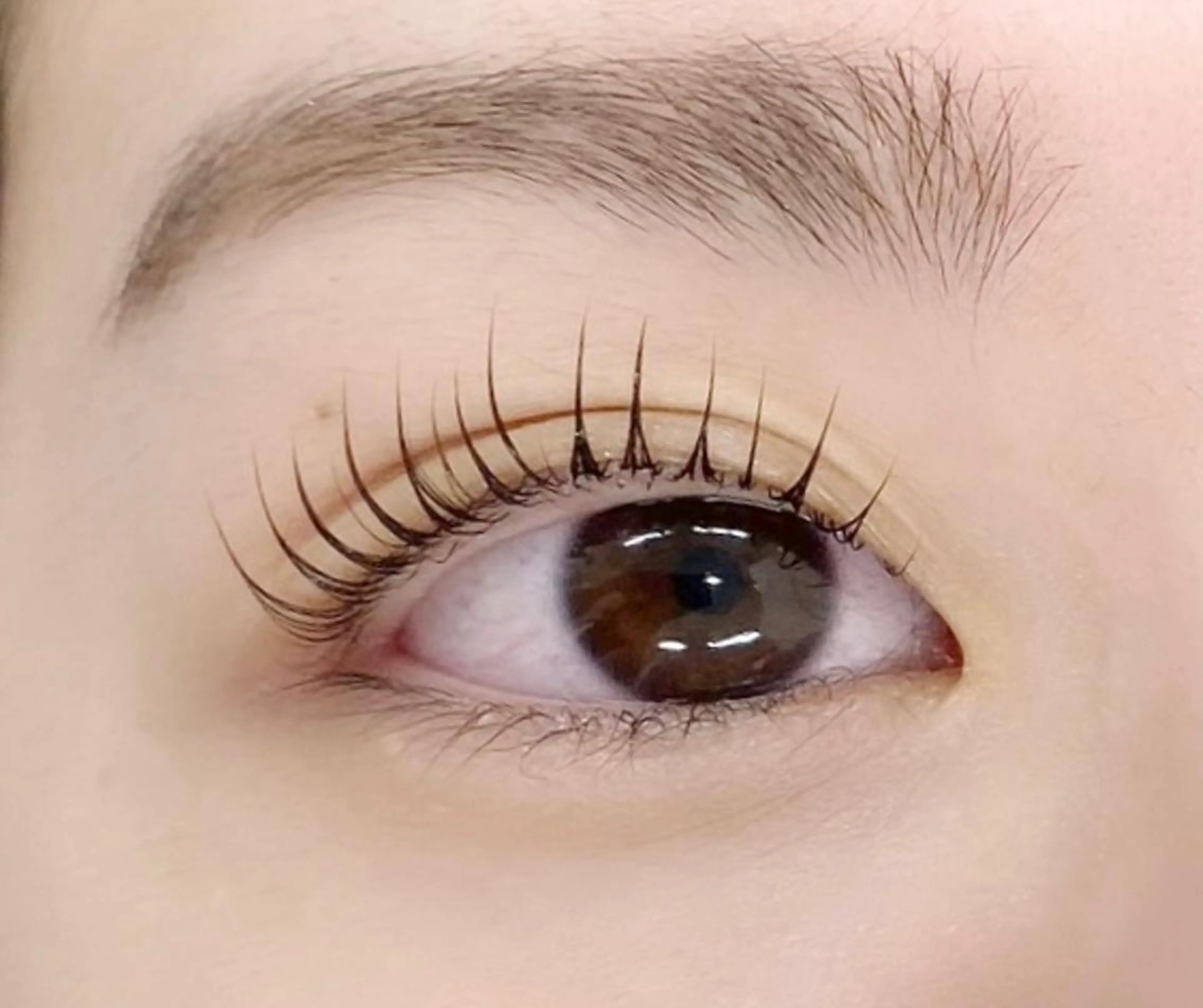 マツエク・マツパ パリジェンヌラッシュリフト マツパ 🌼Alba🌼 犬馬塲のマツエク・マツパデザイン