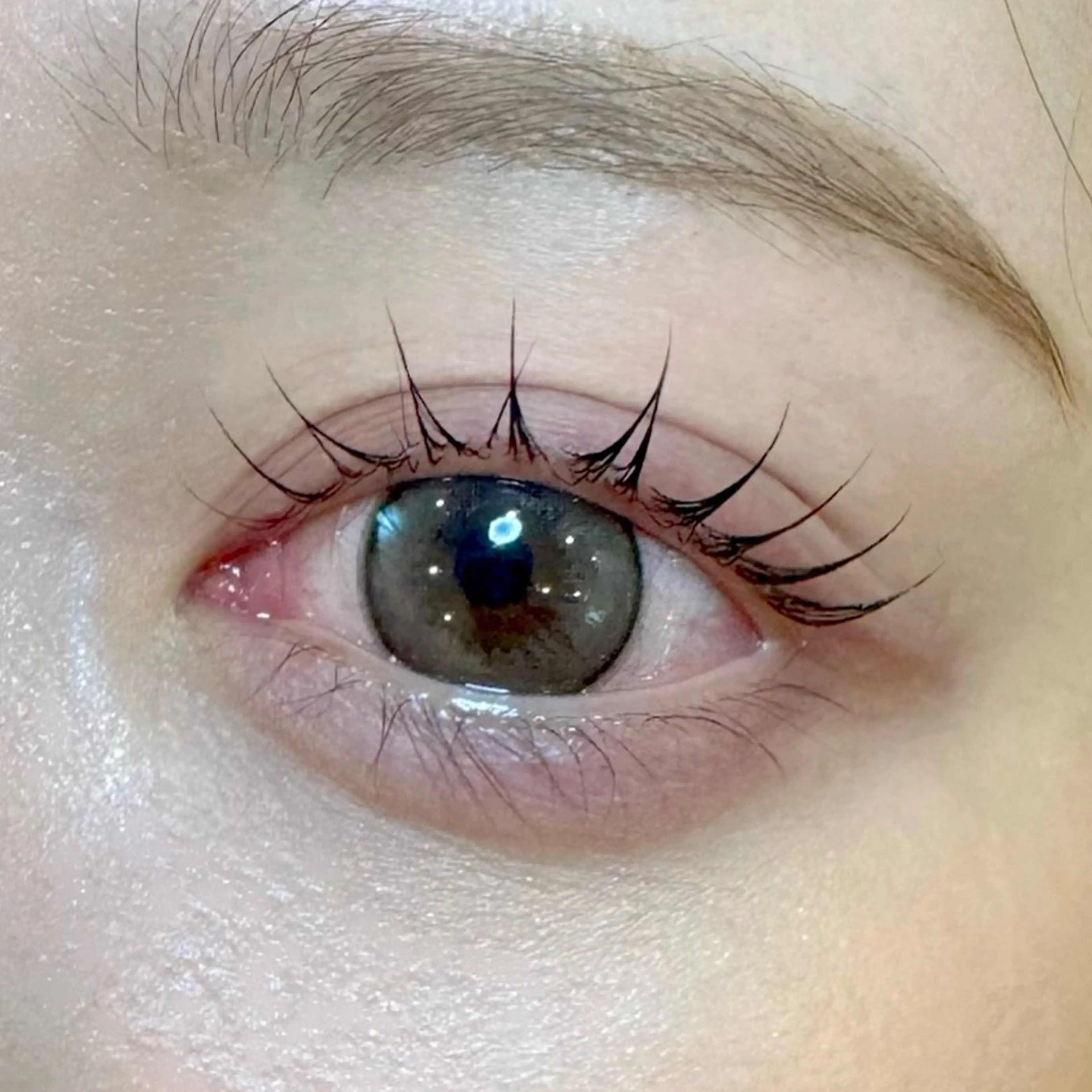 マツエク・マツパ dolce宇田川店 🪞YUKAのマツエク・マツパデザイン