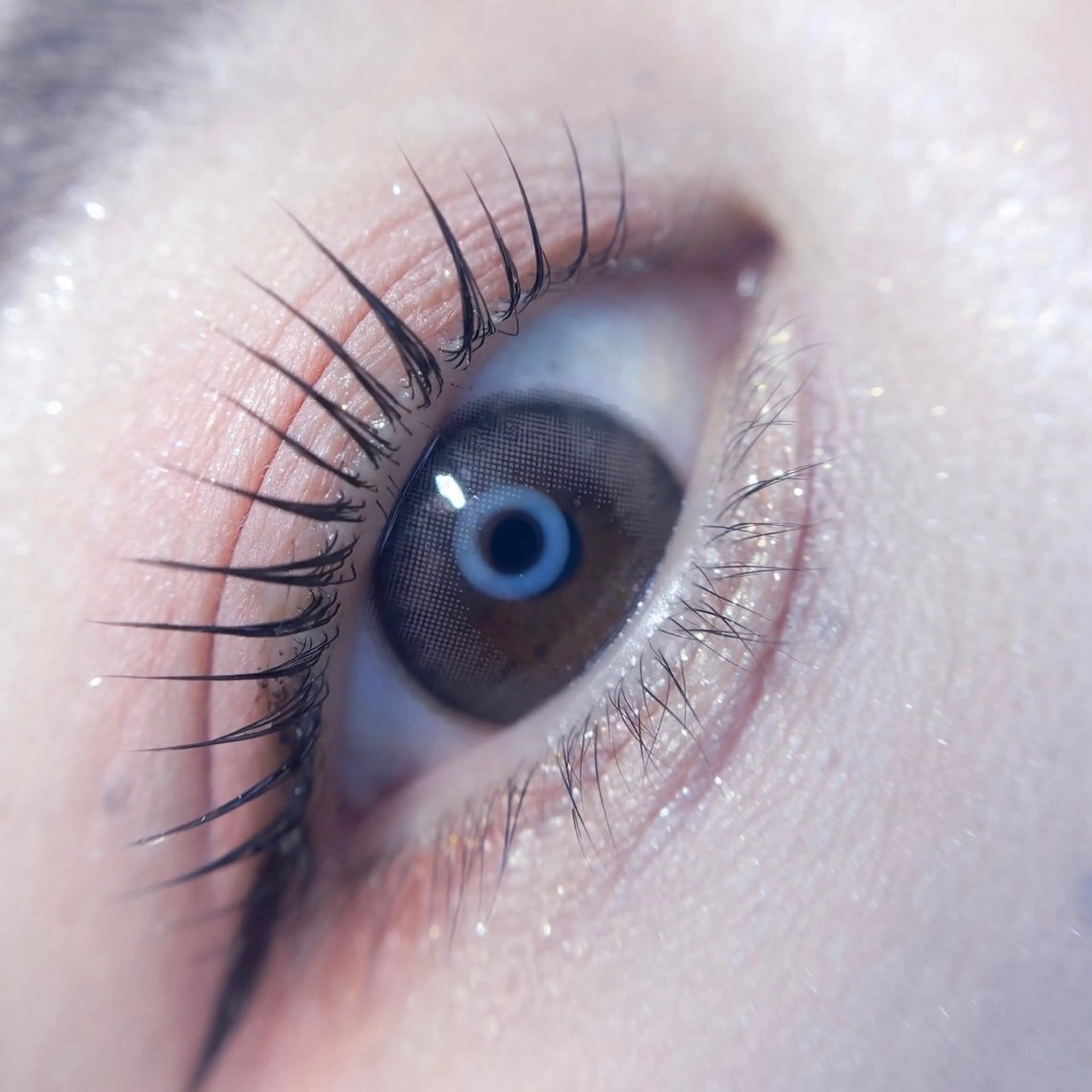 ✨18日限定まつ毛パーマ✨の写真