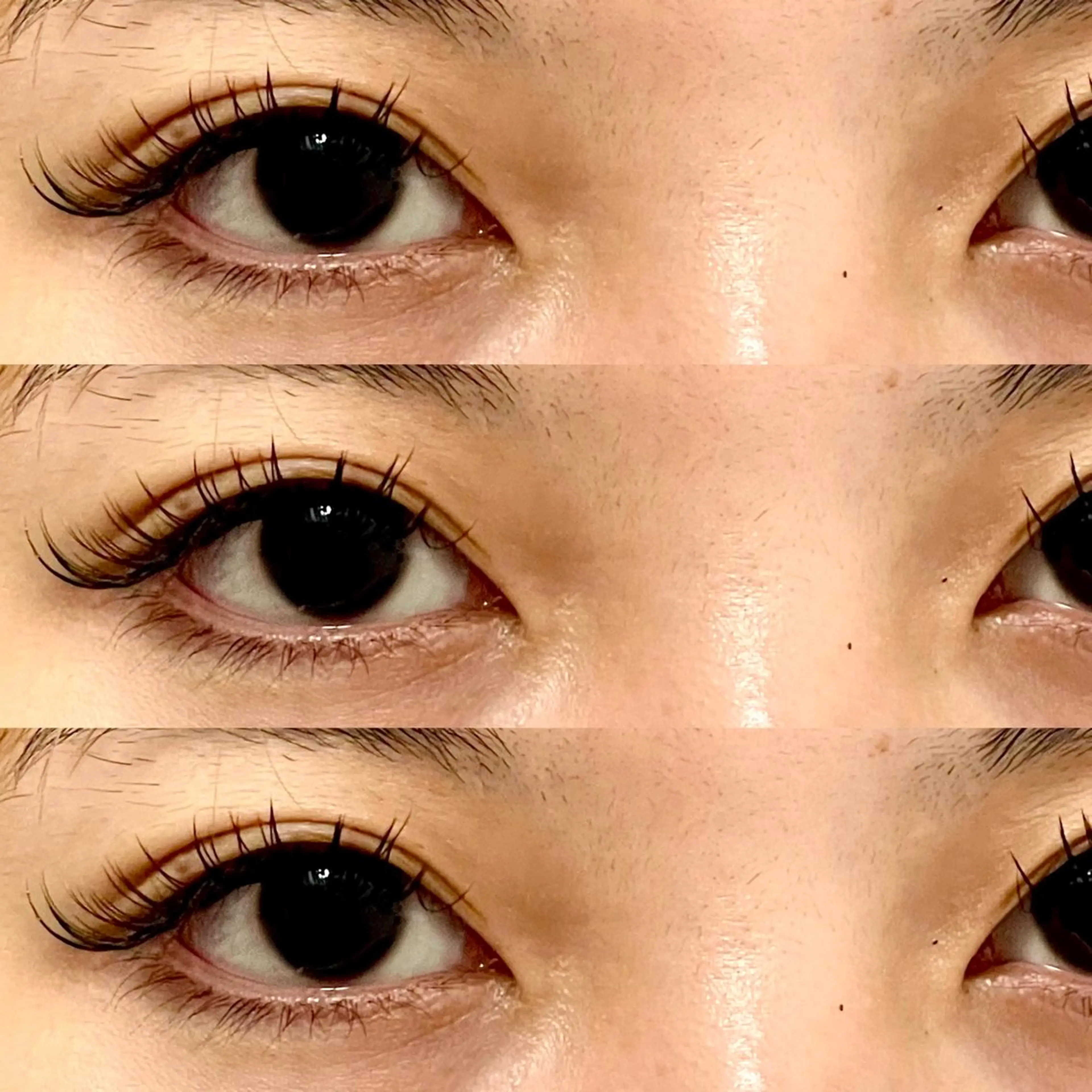 マツエク・マツパ Dカール フラットラッシュ ゴージャス CANEYELASH Kazumiのマツエク・マツパデザイン