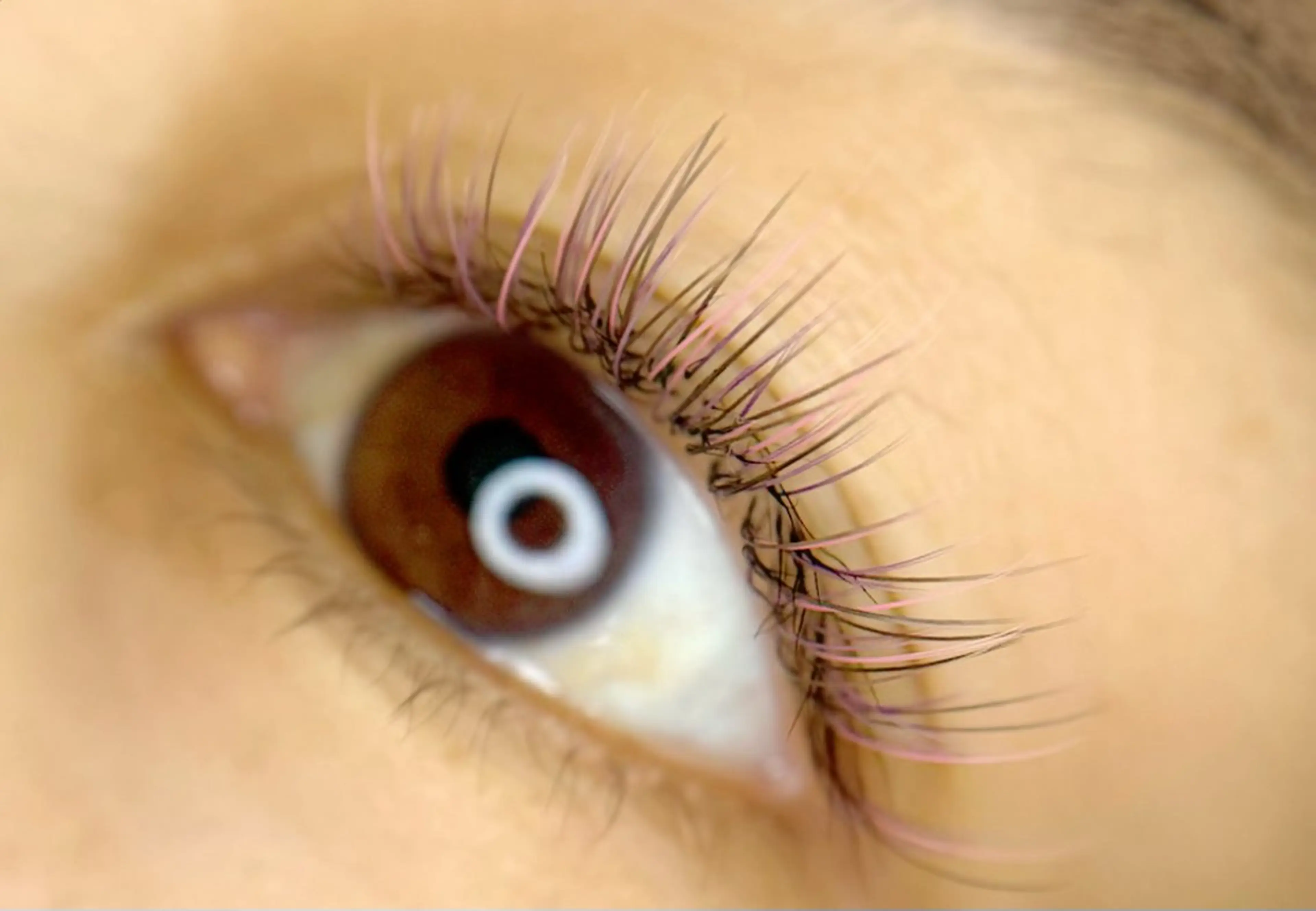 マツエク・マツパ cHi/mA所属・堀池 涼花のマツエク・マツパデザイン