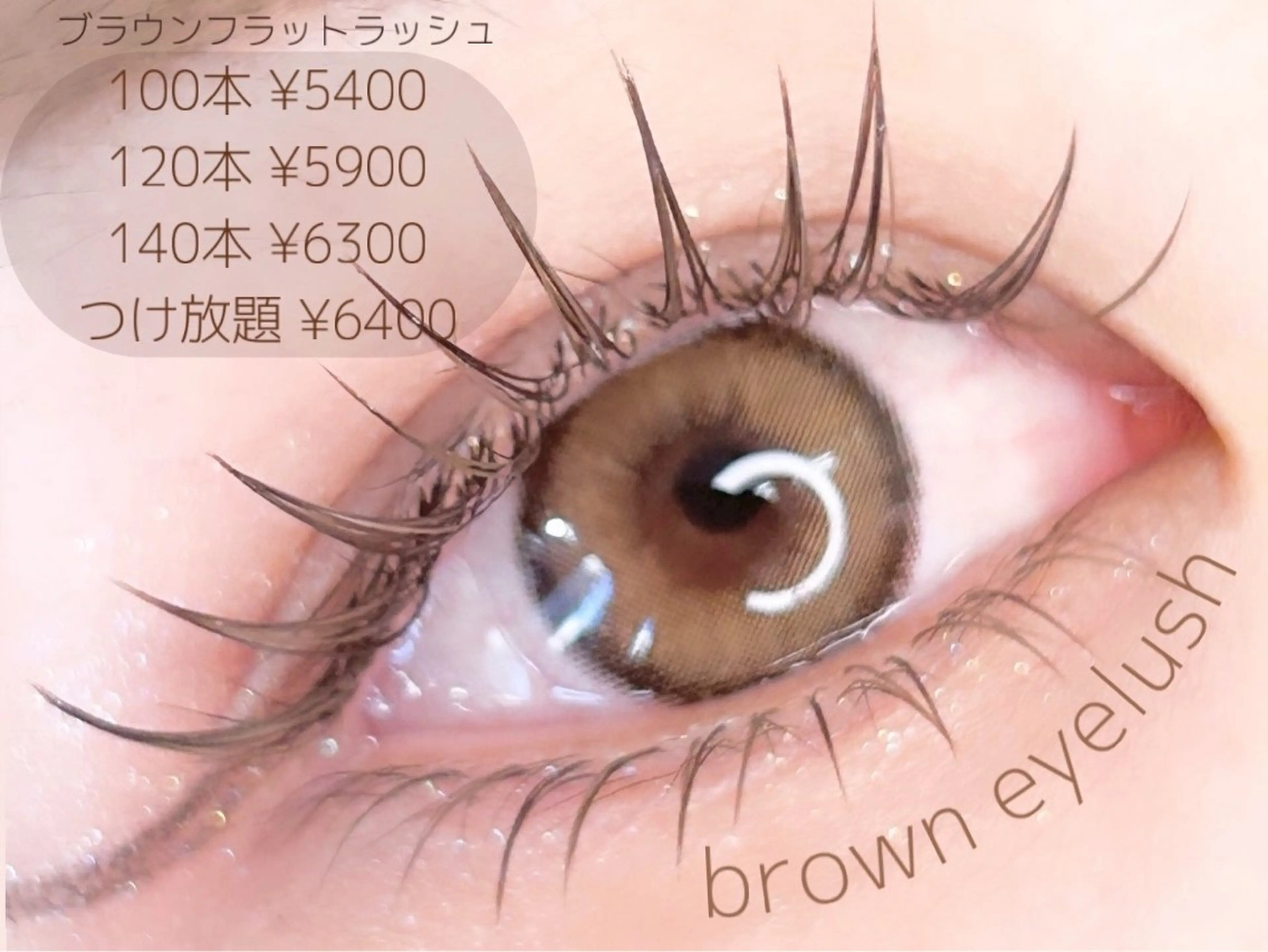 🤎 ブラウン 🤎フラットラッシュ100本¥5400（オフ別途¥500）の写真