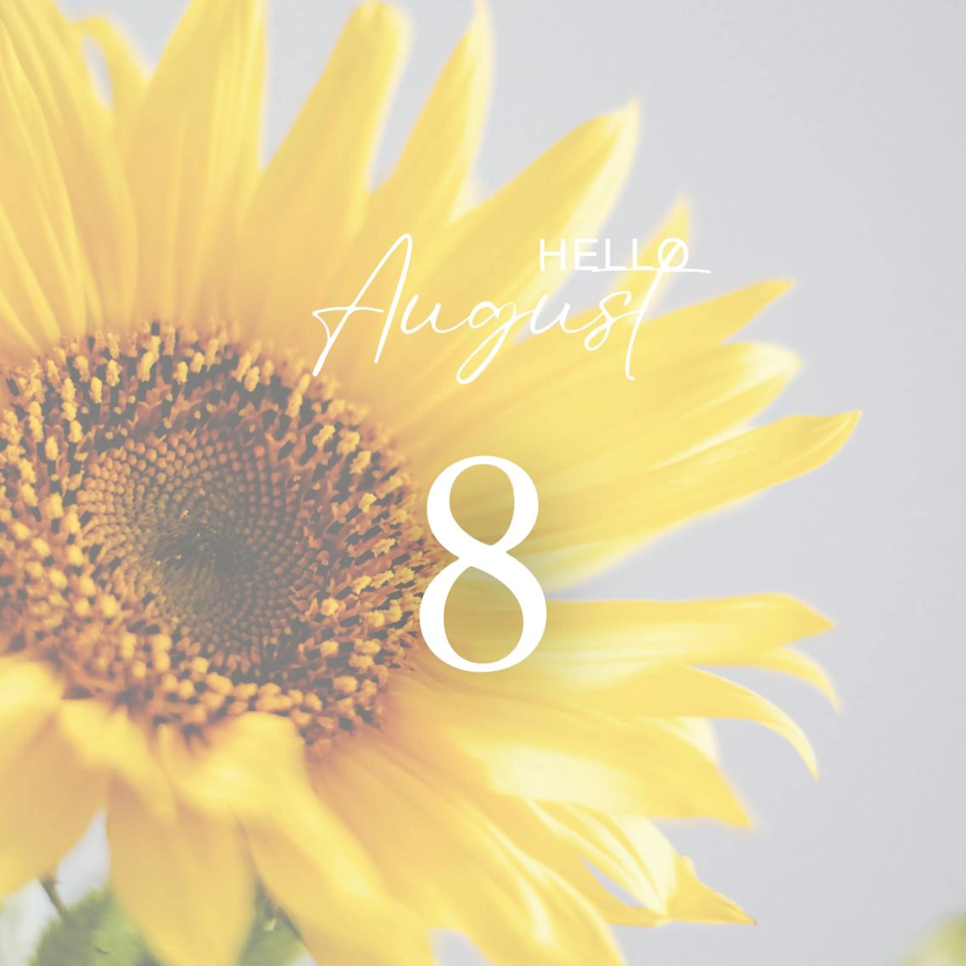 眉毛×肌質改善🫧 高岳/新栄町✨YUUの眉毛・アイブロウイメージ