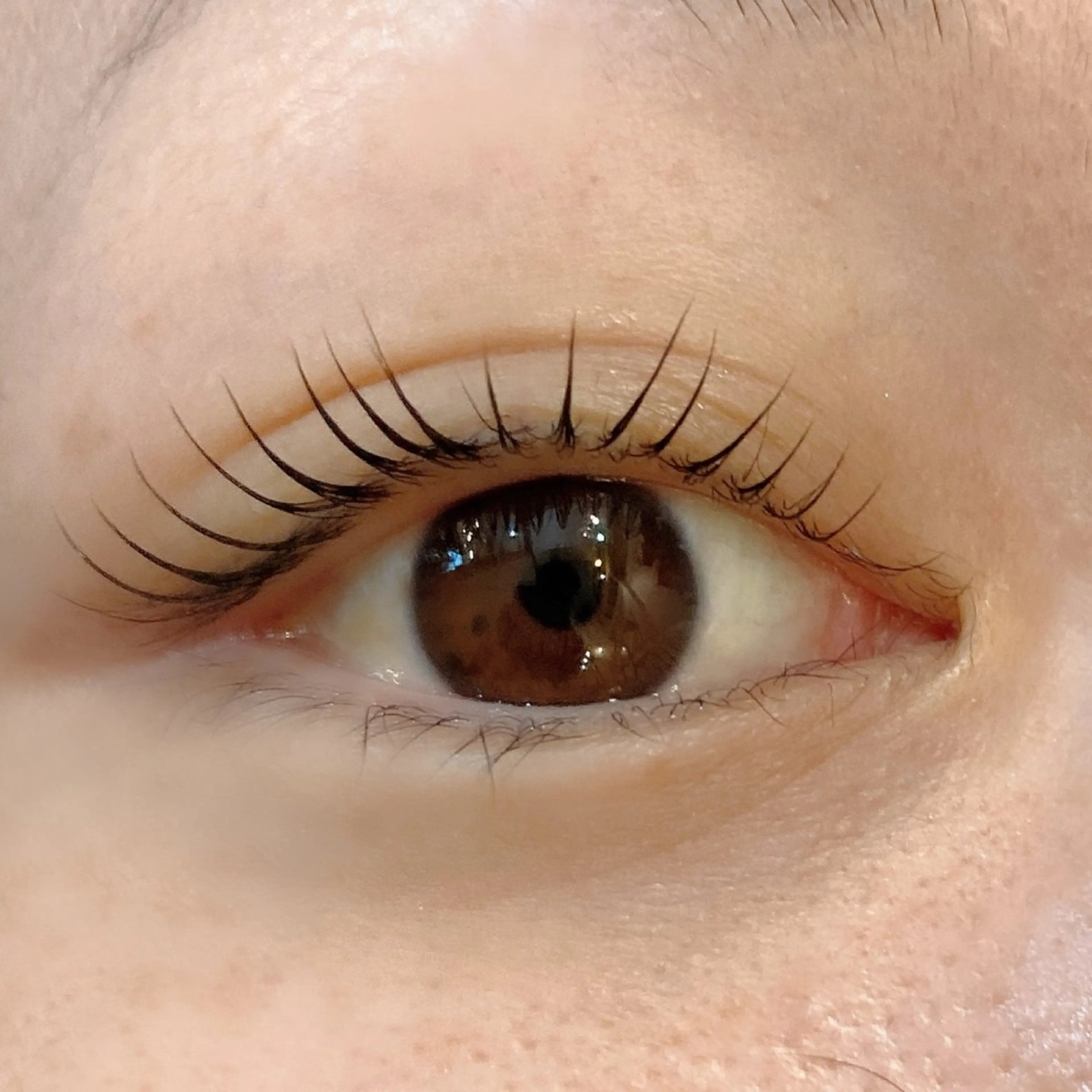 マツエク・マツパ ケラチンラッシュリフト 一重×まつ毛パーマ マツパ AI🌙登戸/ 骨格分析/眉/まつ毛の眉毛・アイブロウイメージ