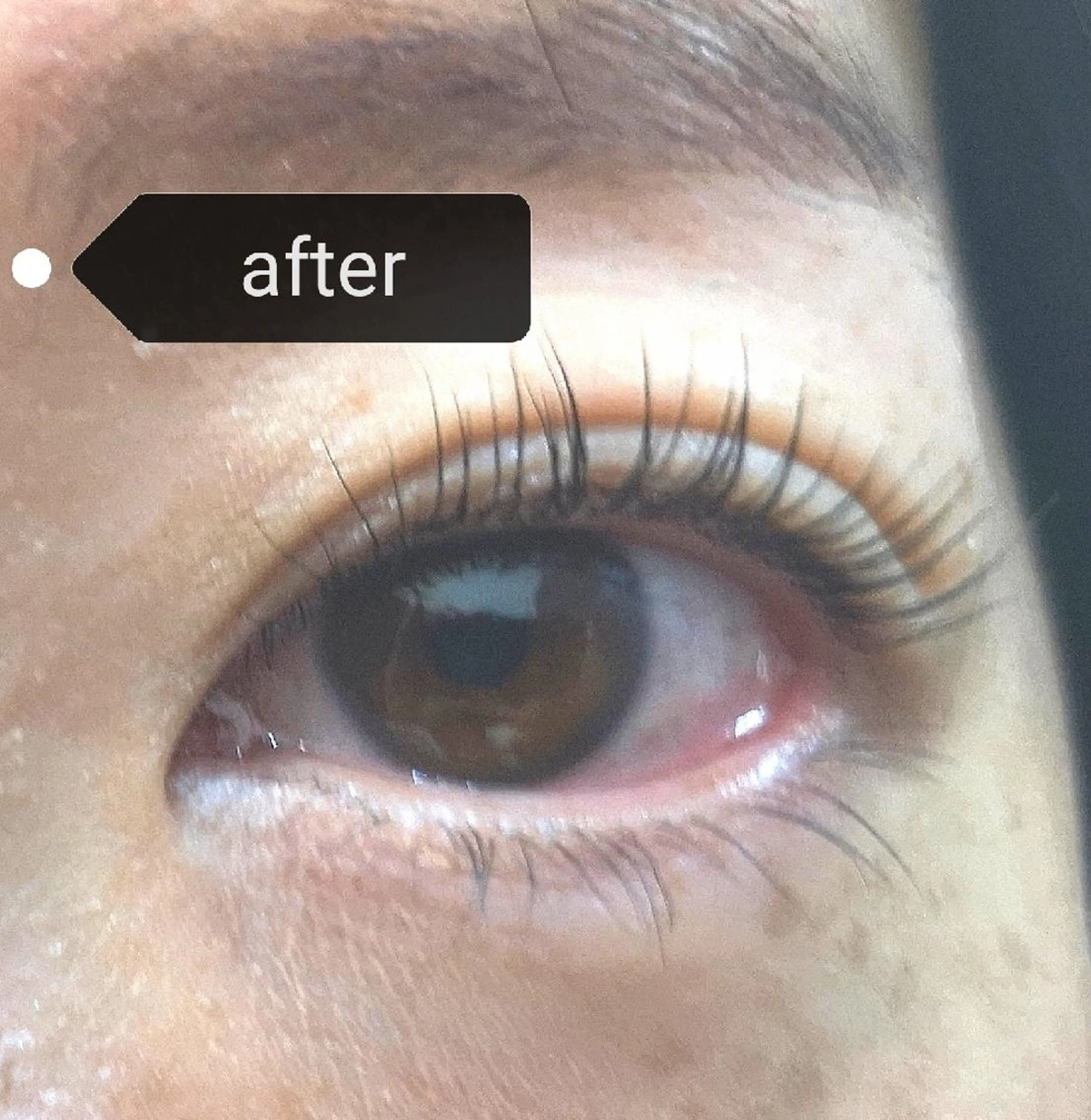 マツエク・マツパ パリジェンヌラッシュリフト Camel 🐫のマツエク・マツパデザイン