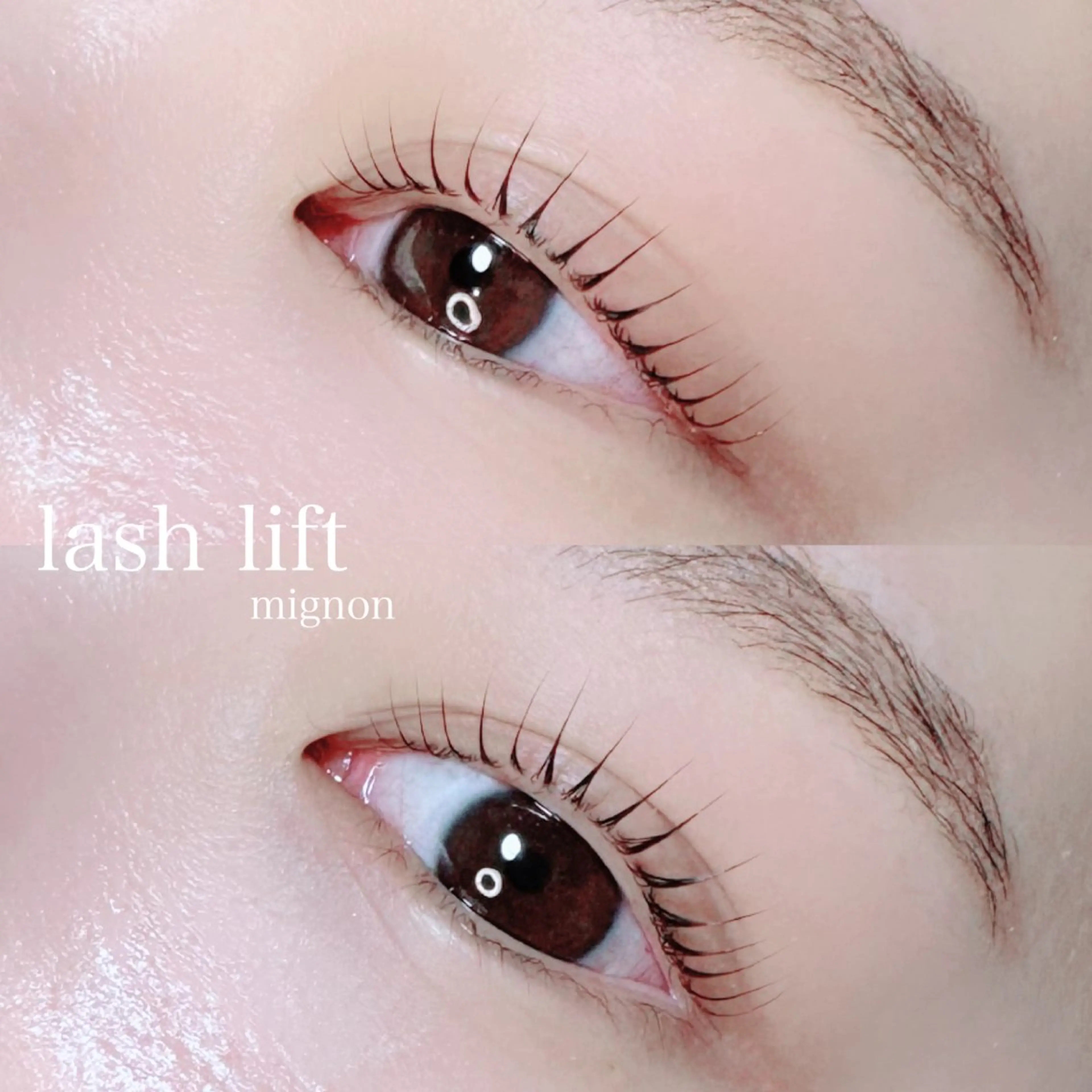 マツエク・マツパ mignon /まつげパーマ/眉毛のエステ・リラクイメージ