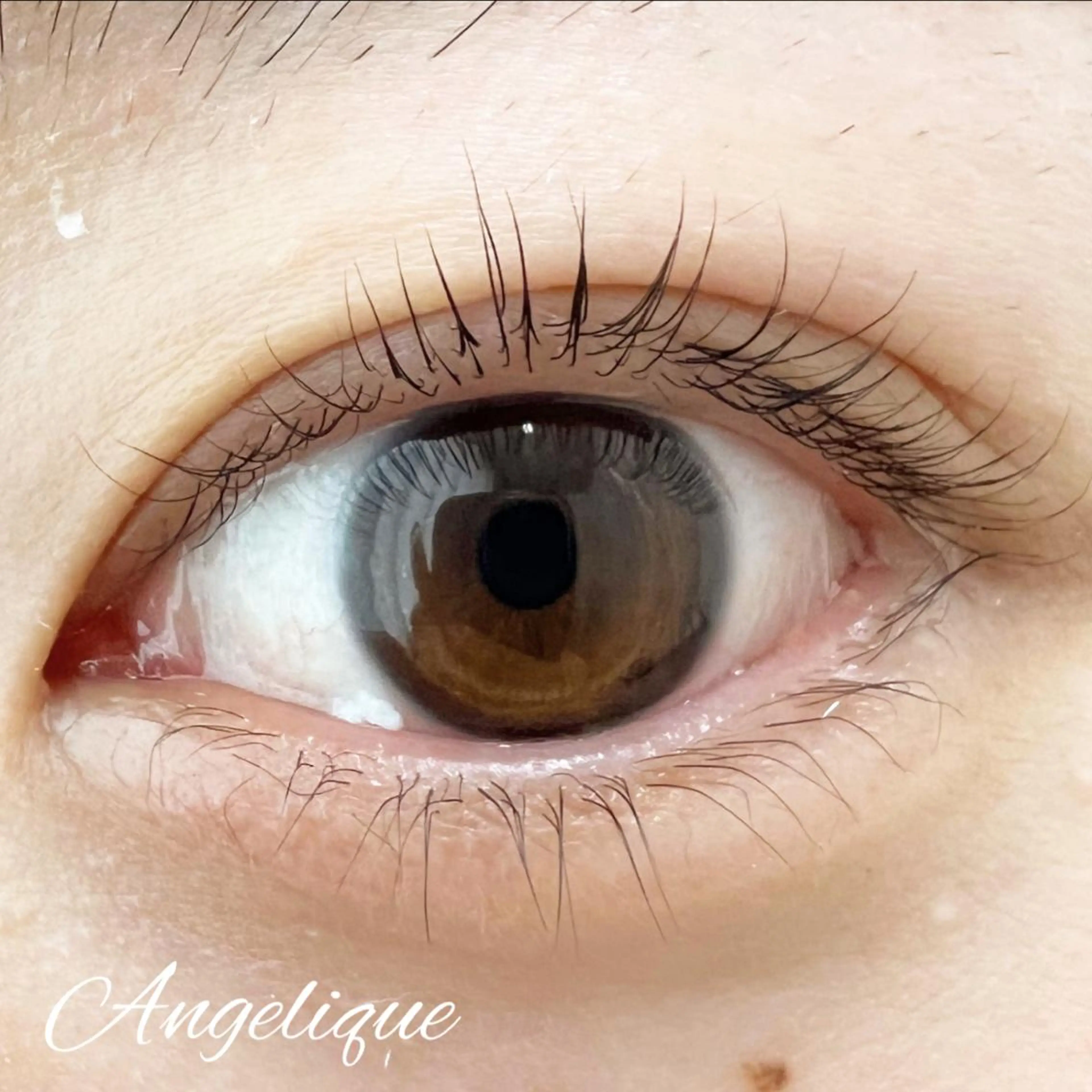 マツエク・マツパ 下まつげエクステ 一重×まつ毛パーマ 田村 莉子のマツエク・マツパデザイン