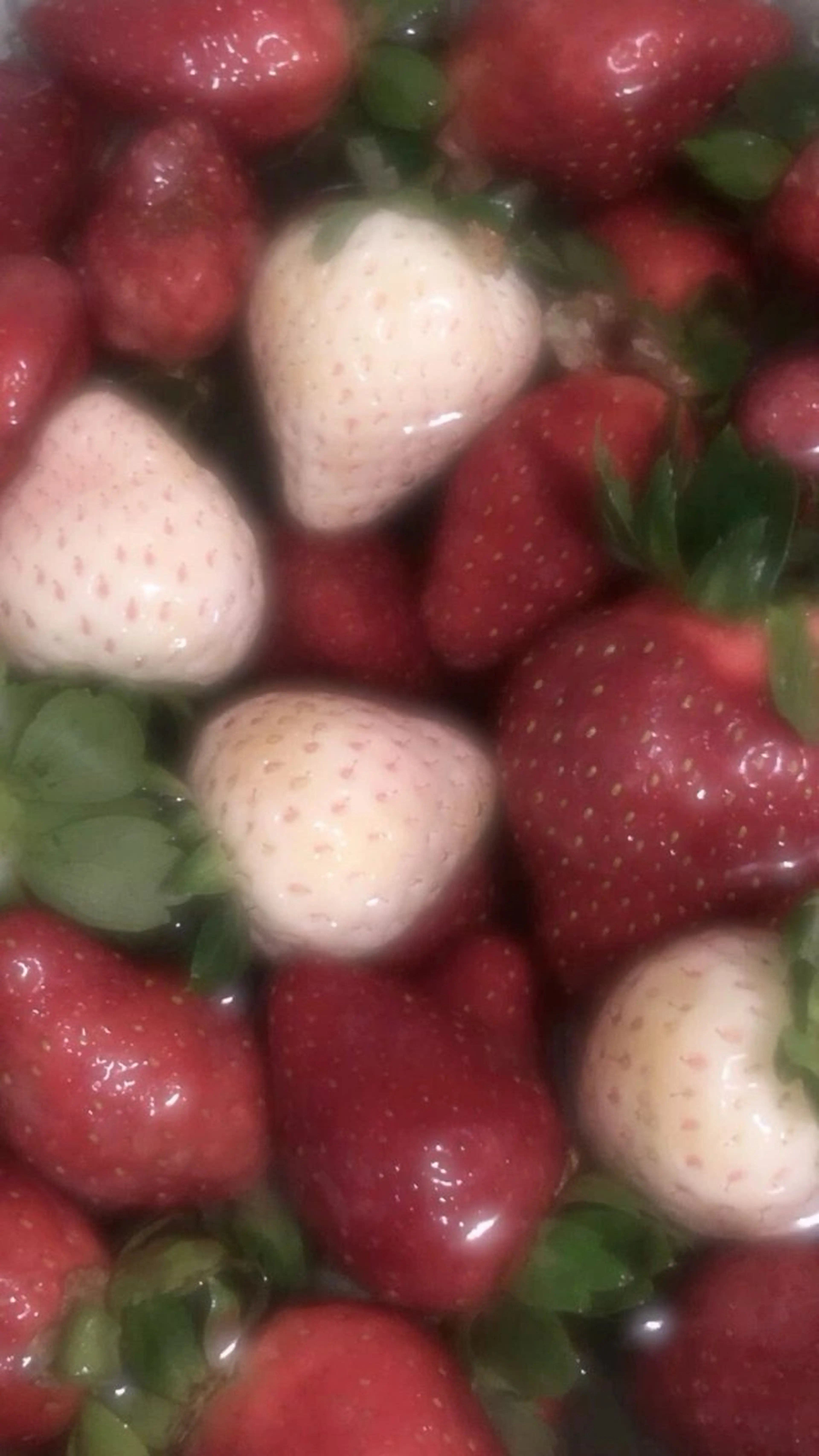 Bianca 銀座 Hinanoのネイルデザイン