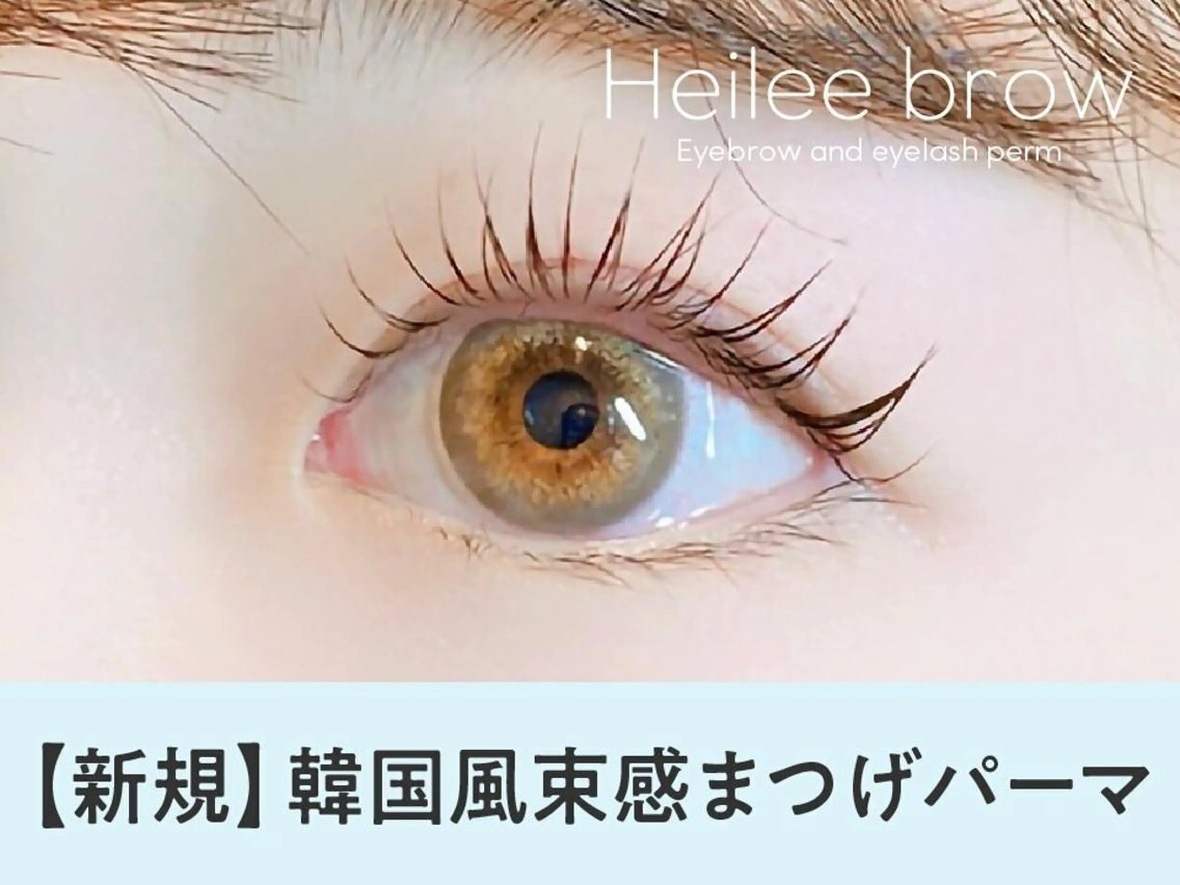 【平日限定】🫧🧸口コミ投稿で限定価格！韓国風束感まつ毛パーマ🧸🫧【3320円】［天文館］の写真