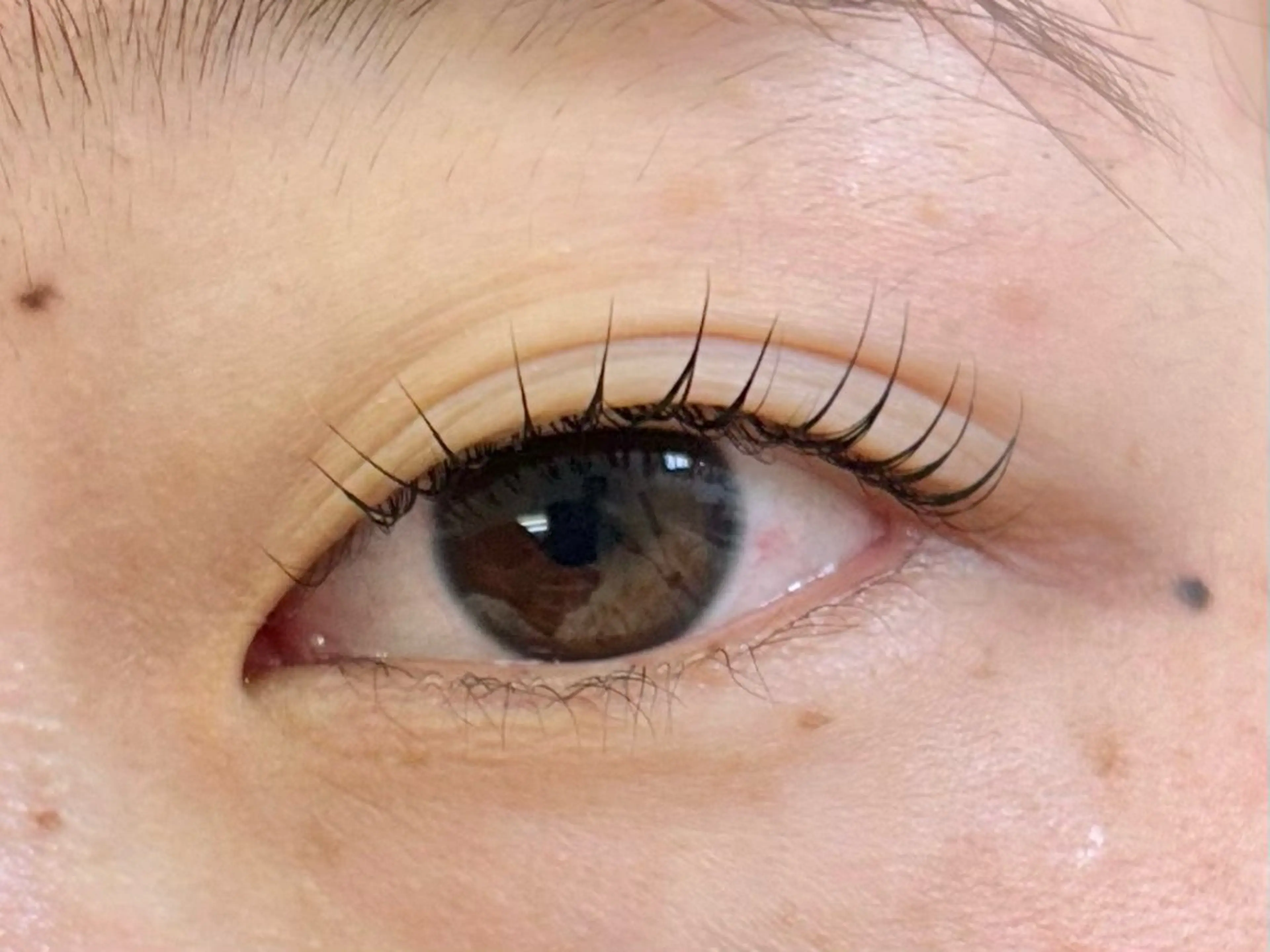 マツエク・マツパ マツパ Miroir Sunadaの眉毛・アイブロウイメージ