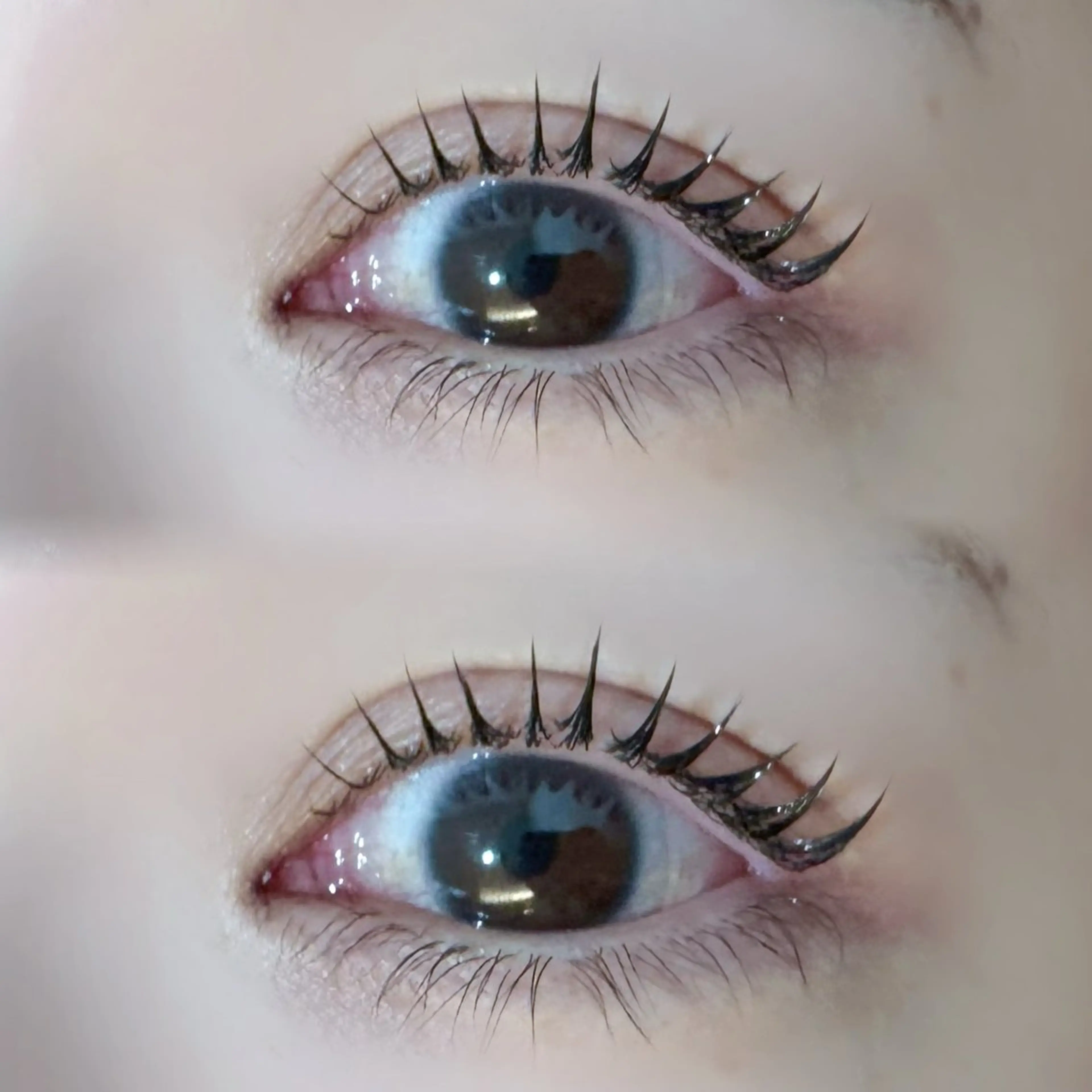 【平日限定】🩶ラッシュリフト➕コーティング➕アイシャンプー付き🫧の写真