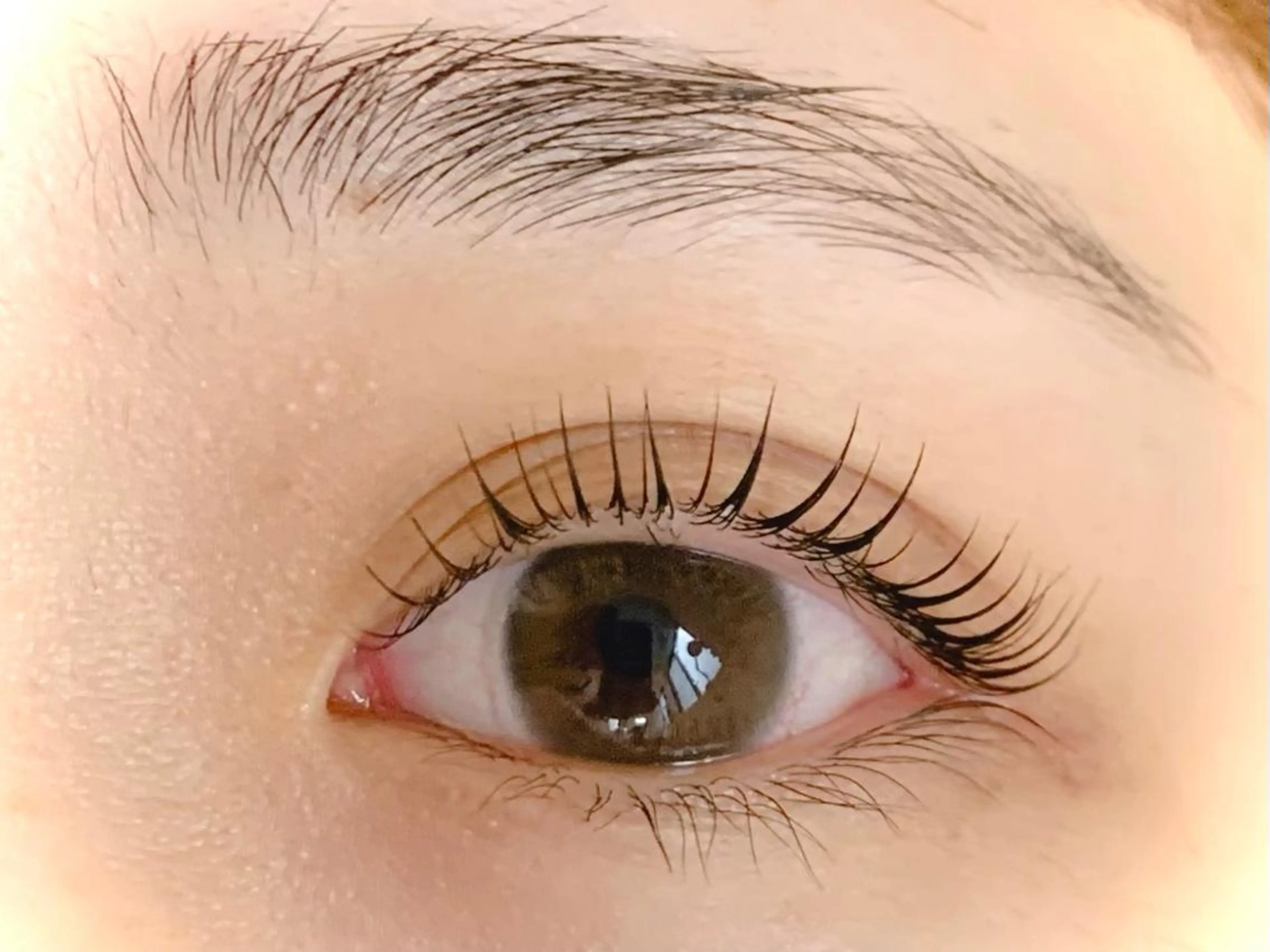 【美容液コーティング付】まつげパーマ《エクステオフの有無をお知らせ下さい》の写真