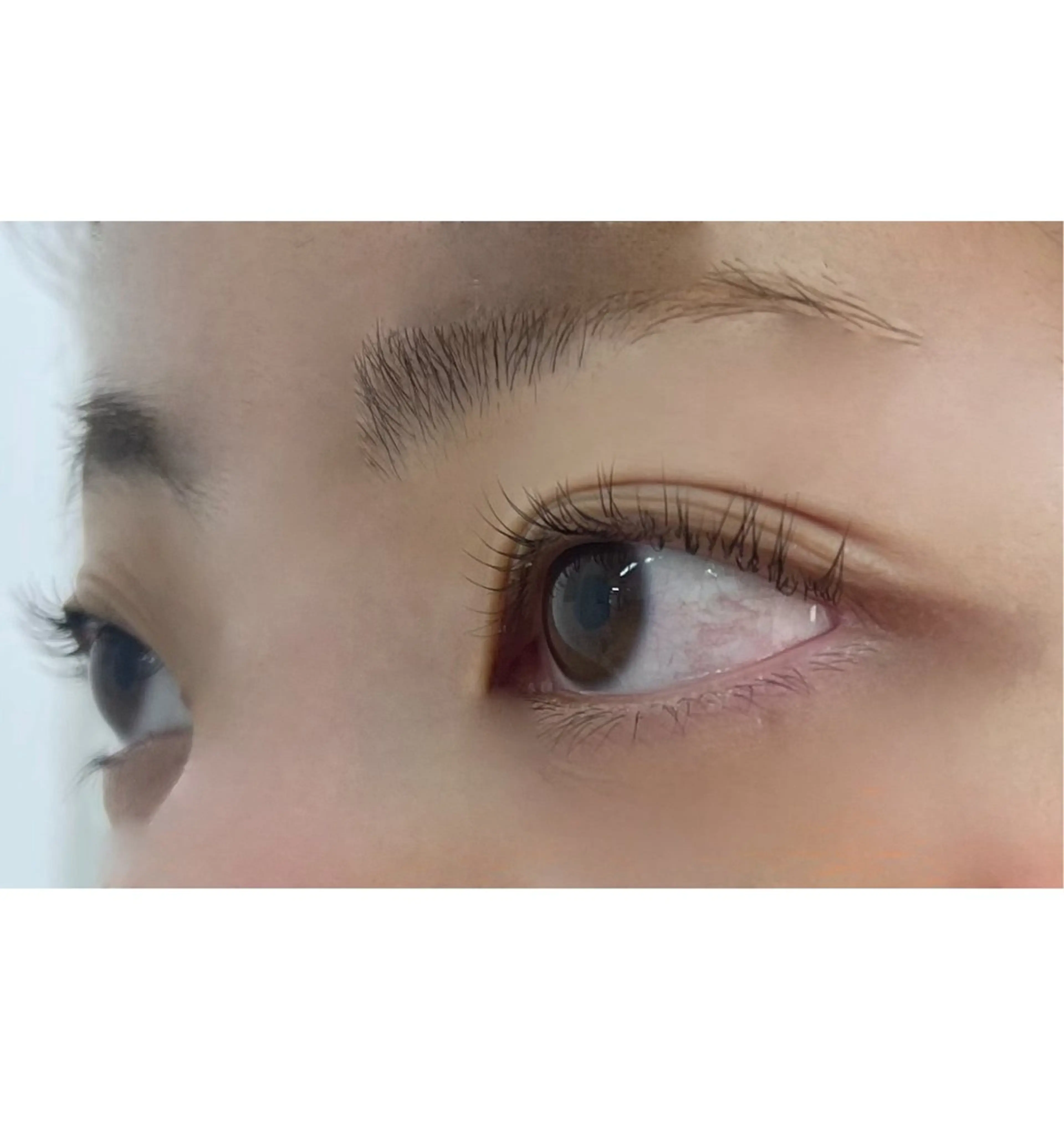 マツエク・マツパ TRU NAIL & EYE 西船橋店所属・TRU ℳ𝒶𝒽𝒾𝓇ℴのマツエク・マツパデザイン