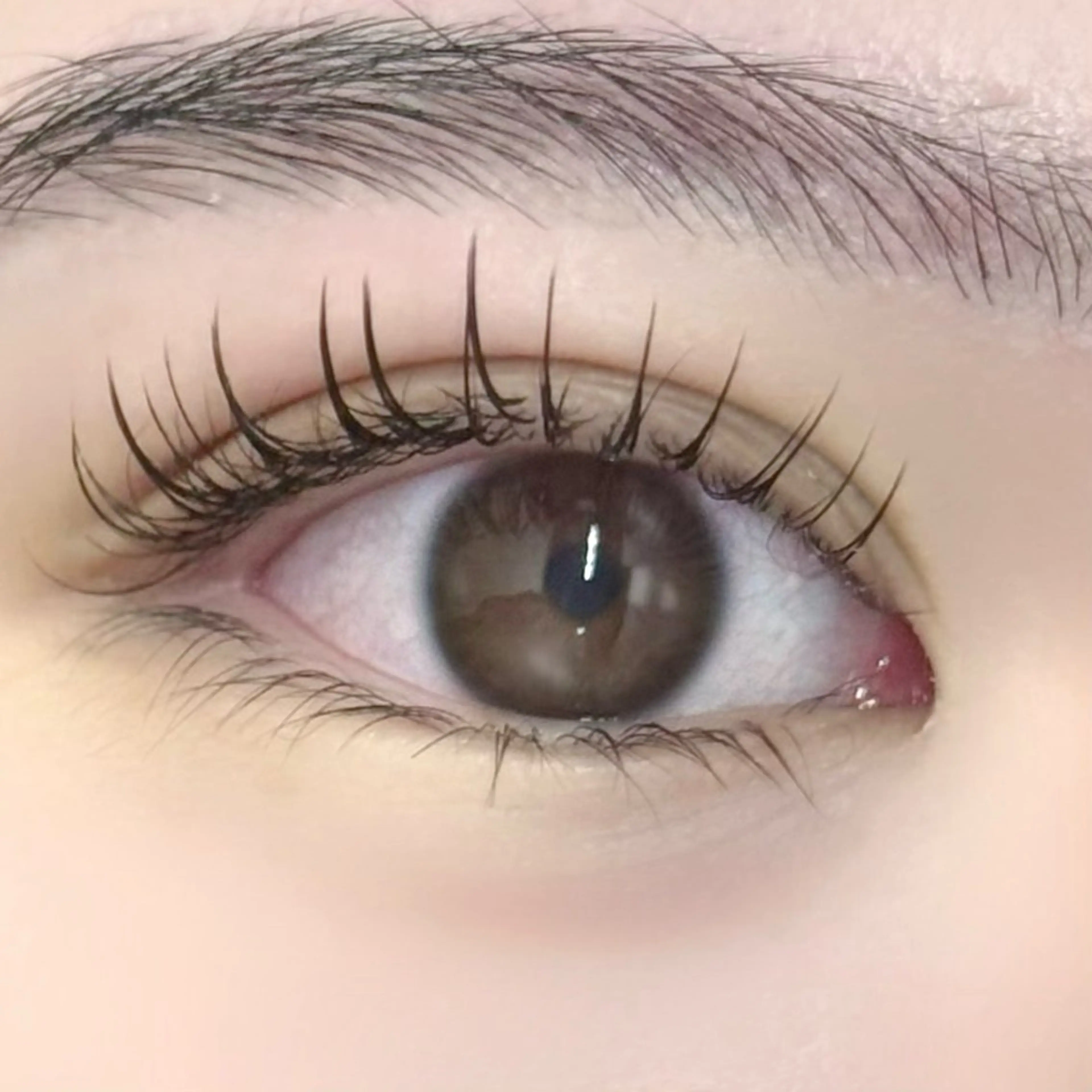 【フラットマットラッシュ80本】🌟ナチュラル格上げ🌟の写真