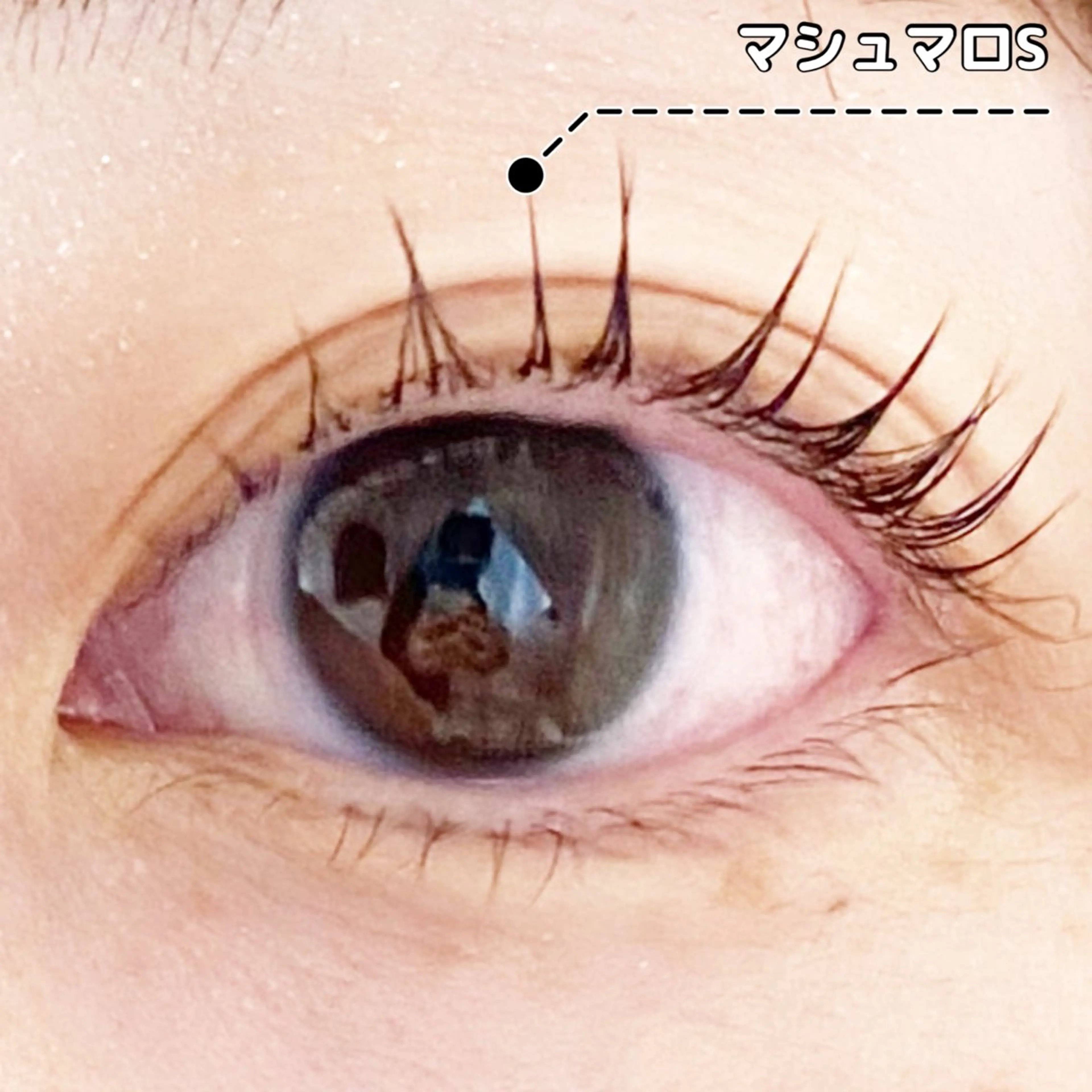 マツエク・マツパ パリジェンヌラッシュリフト LC尾張旭店所属・LC尾張旭店🫧 いしいのマツエク・マツパデザイン