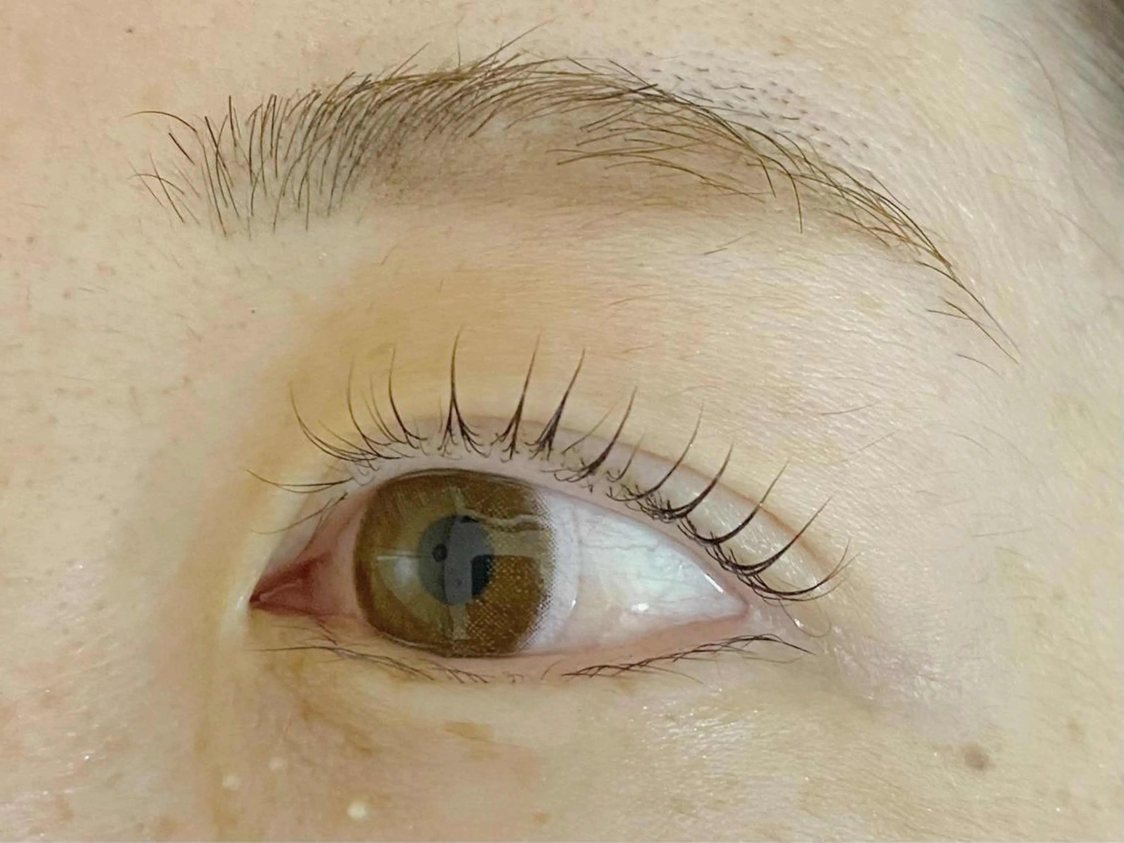 マツエク・マツパ Cカール まつげパーマ マツパ セレビアイ 新越谷店のマツエク・マツパデザイン