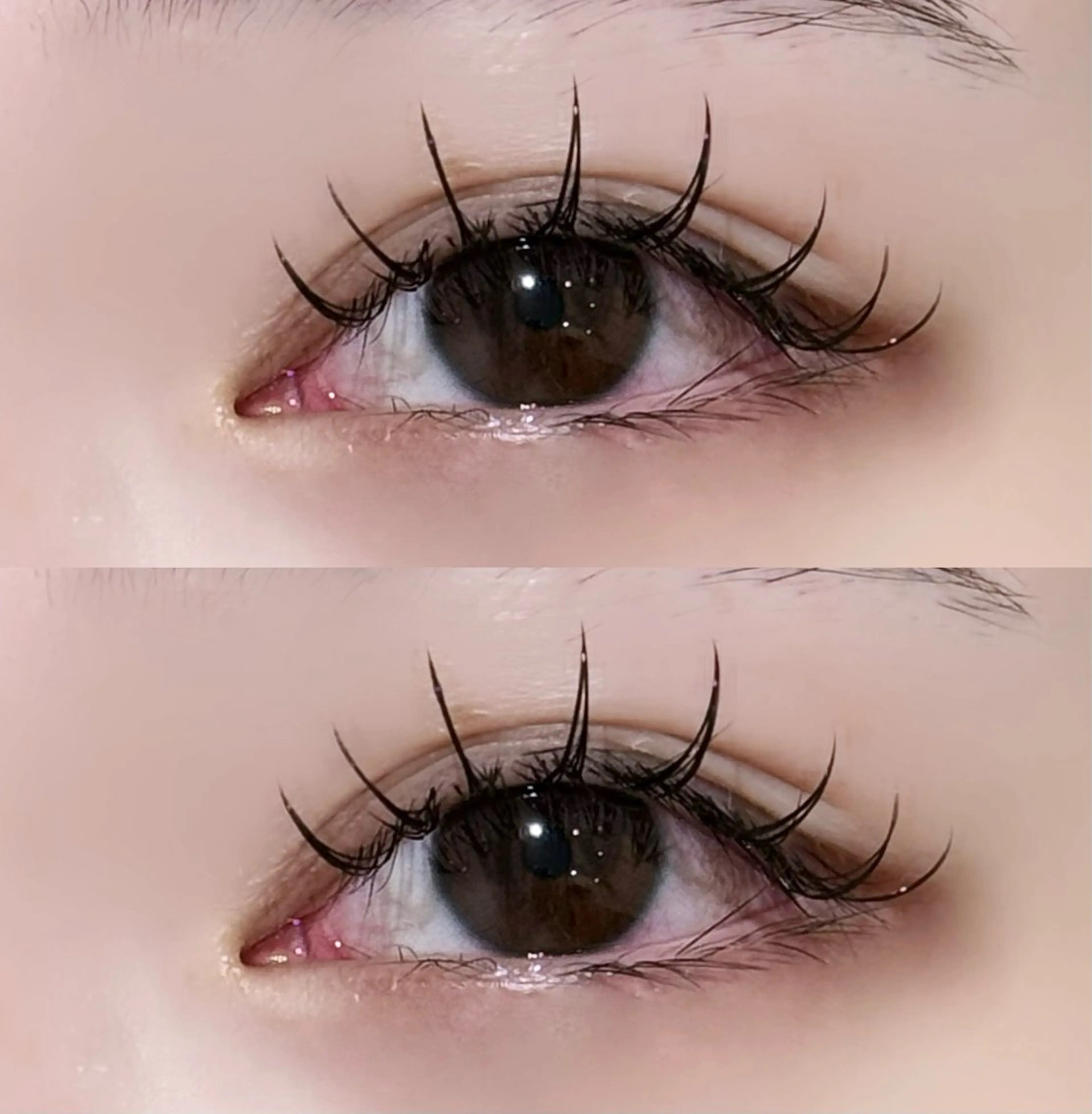 ãããšã¯ã»ããã ð¥ðð²ðð« éâïž ããªãŒãã®ãã¢ã¹ã¿ã€ã«