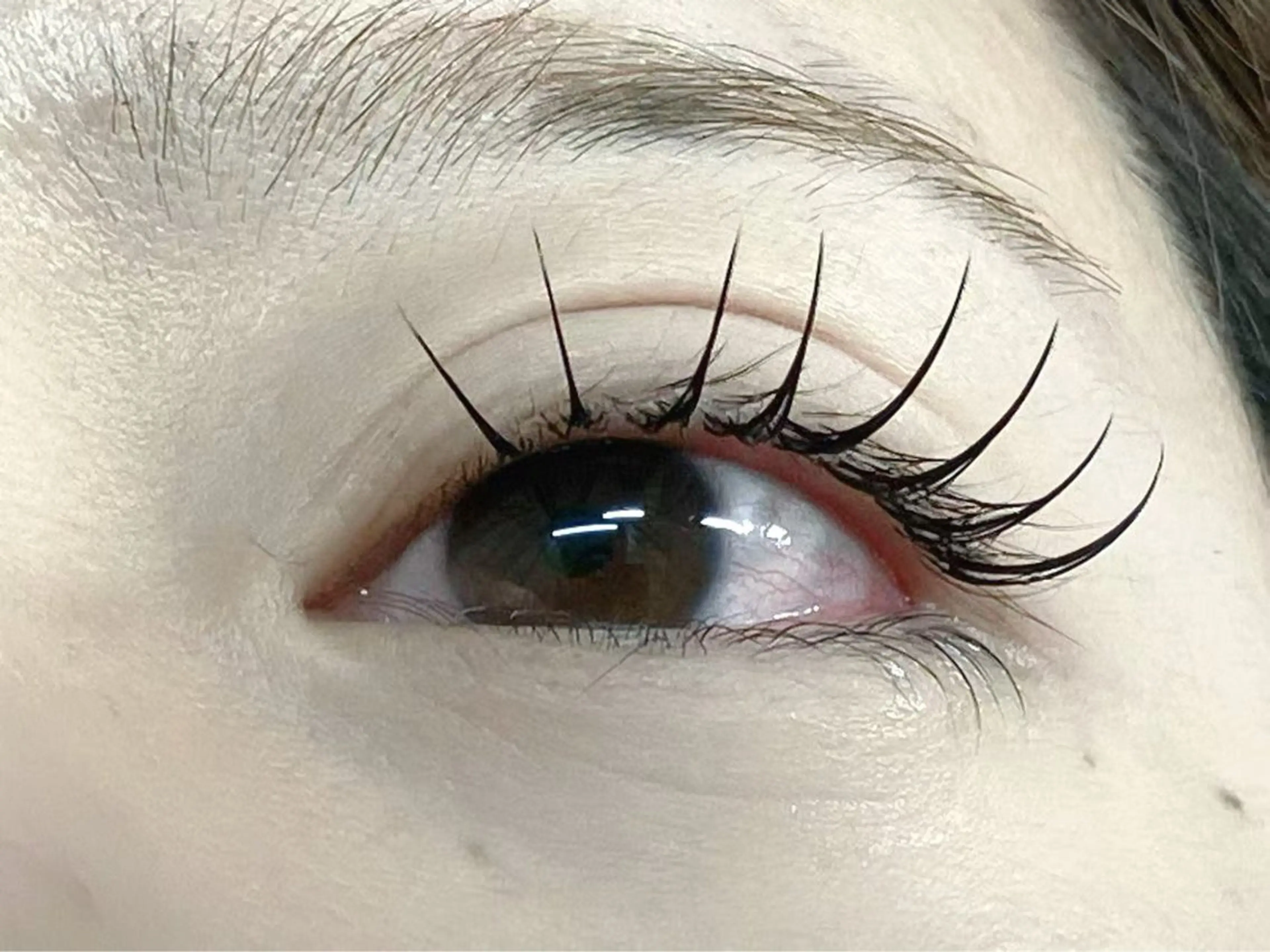 フラットラッシュ90本の写真