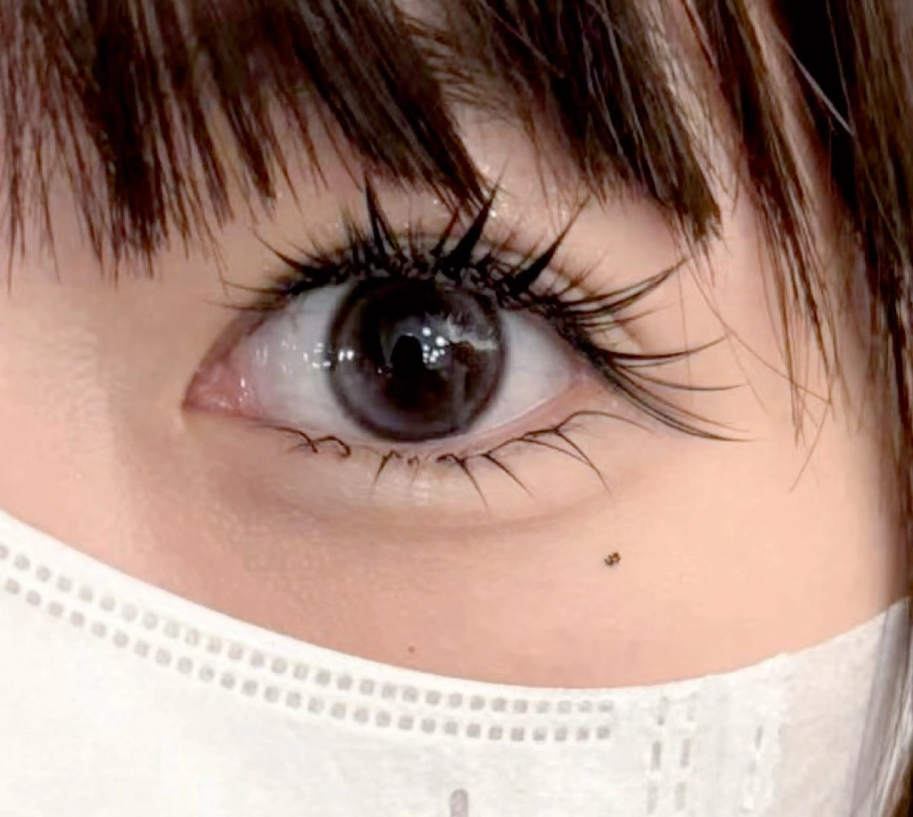 マツエク・マツパ サンキュウ マイのマツエク・マツパデザイン