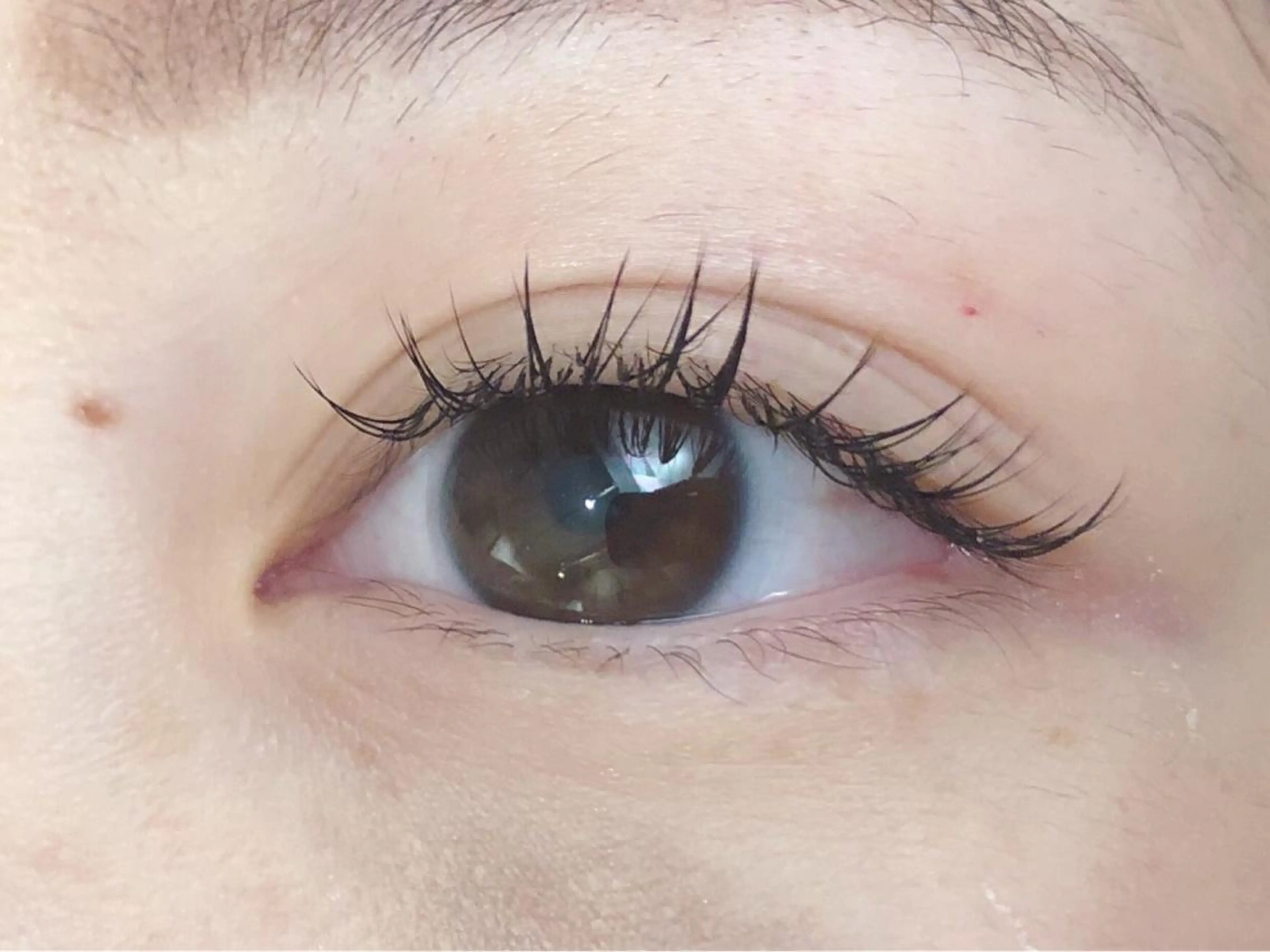 マツエク・マツパ Sylph & SCENEのマツエク・マツパデザイン