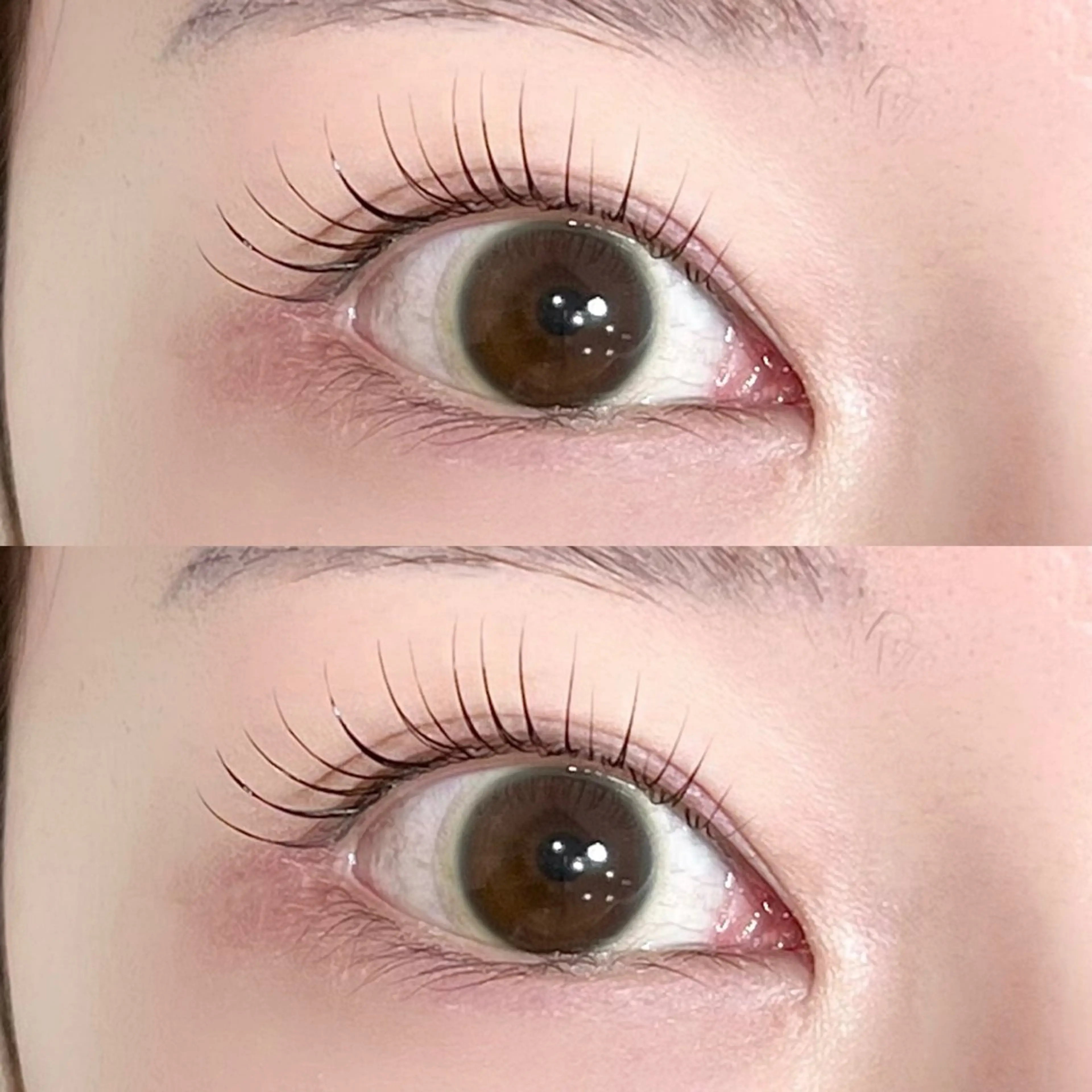 マツエク・マツパ マツパ 310所属・束感まつげ/透明感眉 🎀 haru 🤍の眉毛・アイブロウイメージ