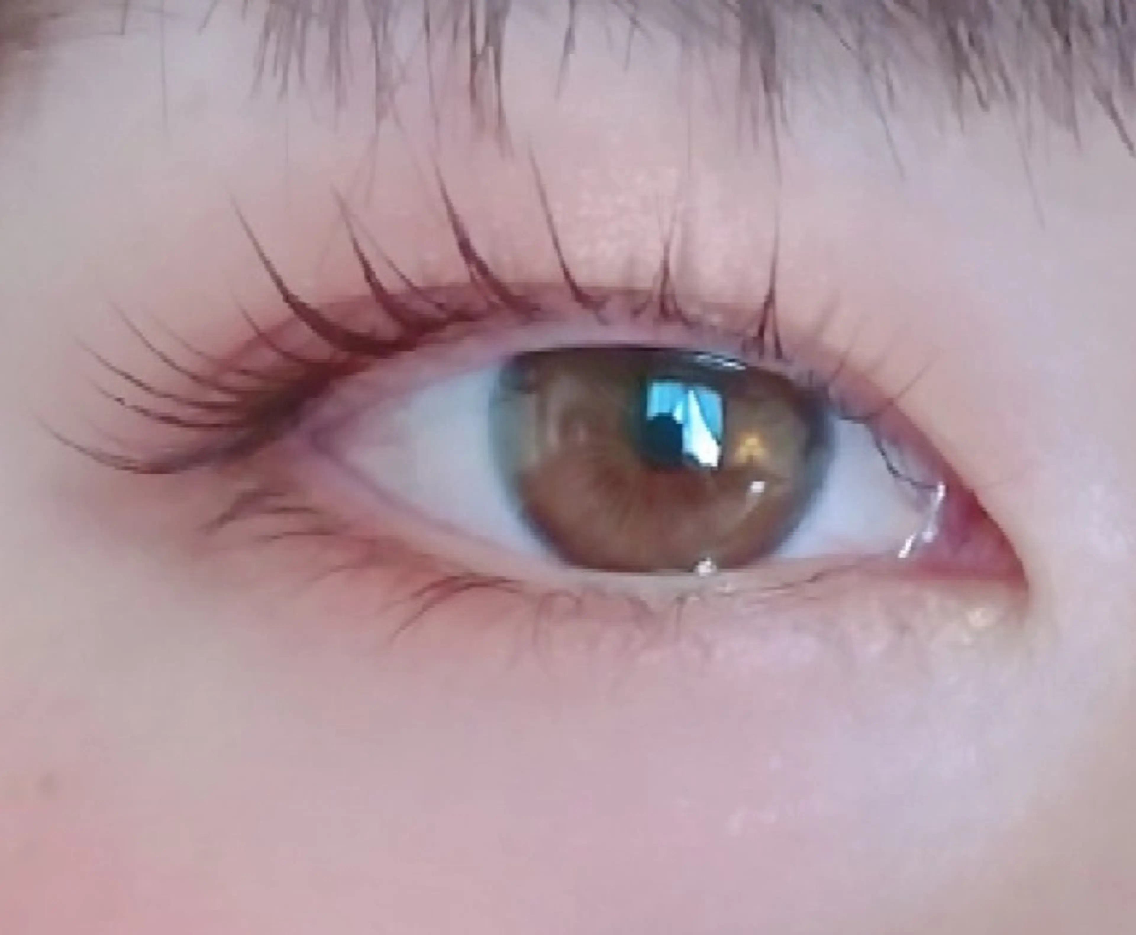 当店人気No.1👑コスメリフト(傷まないまつ毛パーマ)♡コーティング仕上げの写真