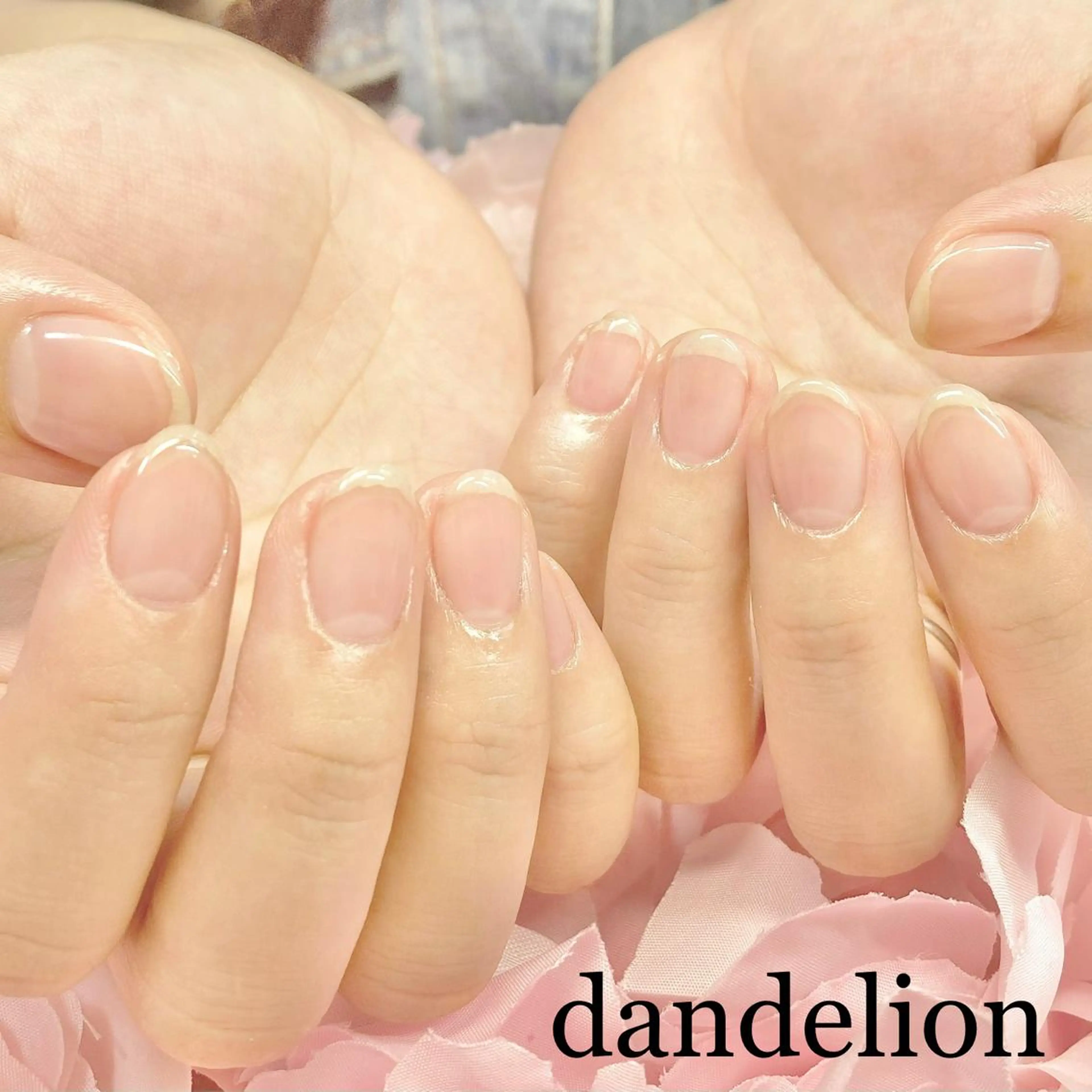 ネイル ハンドネイル ハンドケア dandelion ダンデライオンのネイルデザイン