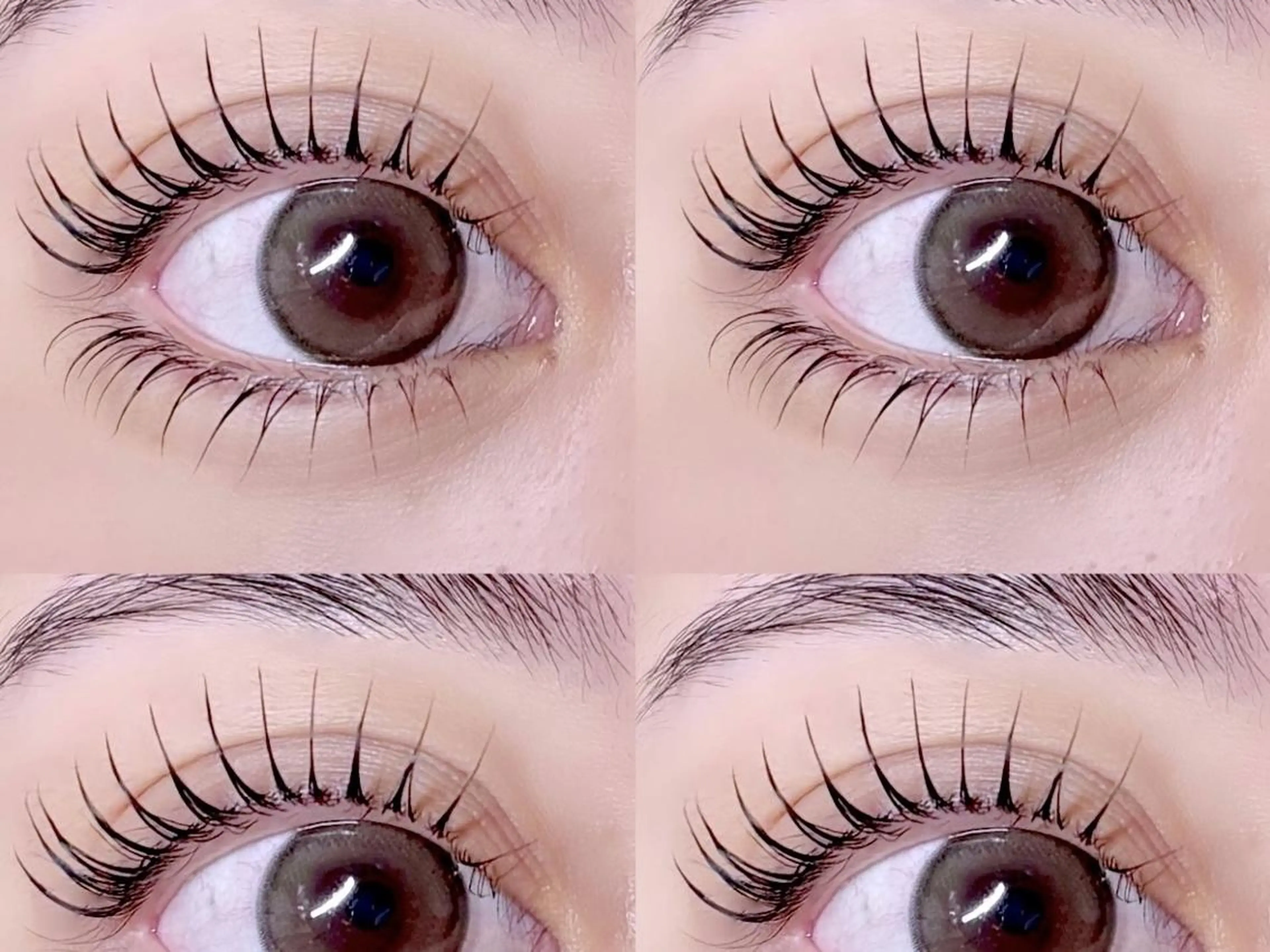 マツエク・マツパ 束感まつ毛 韓国風マツエク パリジェンヌラッシュリフト 一重×まつ毛パーマ 🍓fein.表参道 ANNEX店🧁🪽のマツエク・マツパデザイン