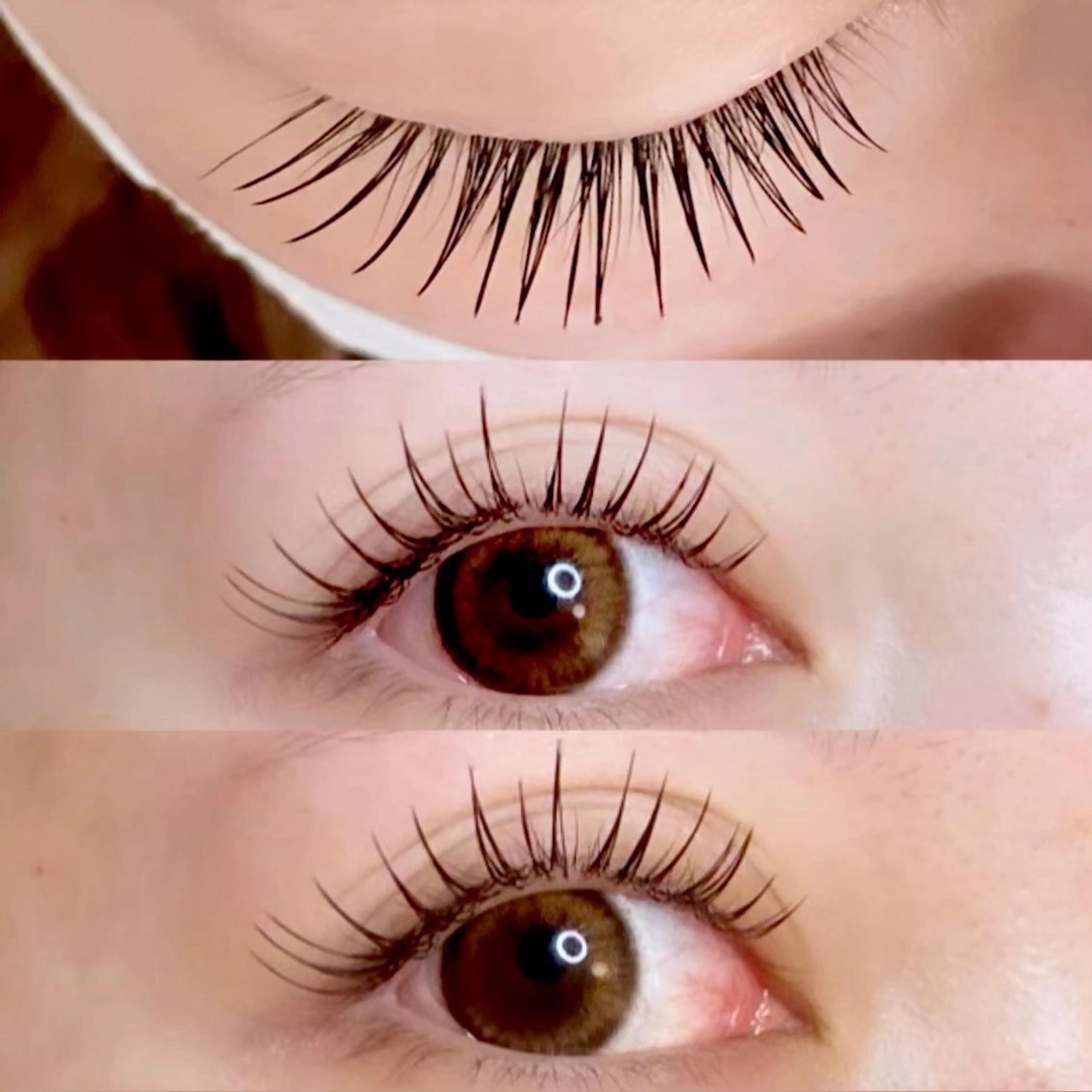 フラットラッシュ100本の写真