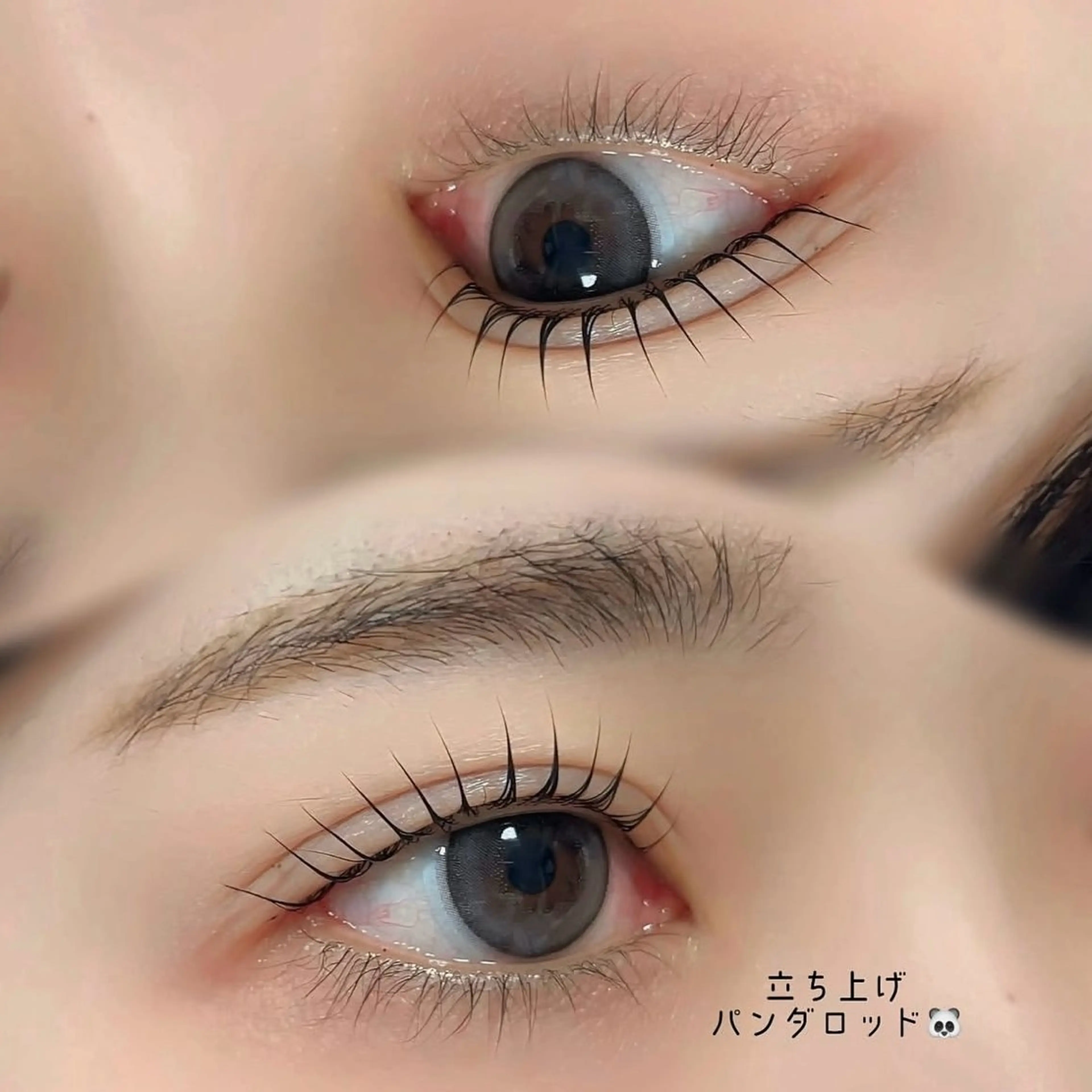 《6/15》⚠️残り2枠【アイシャンプー🧴&高級美容液コーティング付き】まつげパーマ👀⭐️の写真