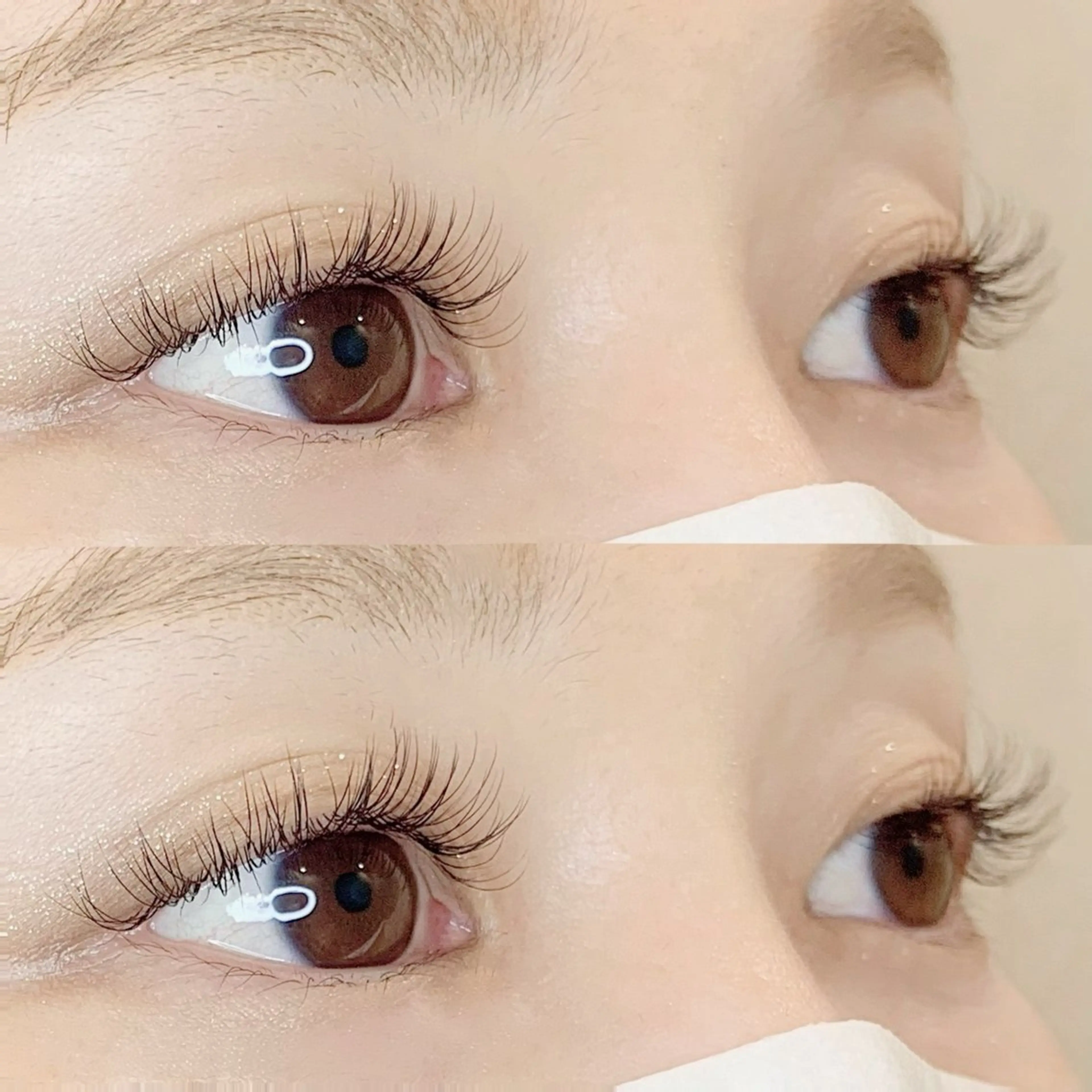 【当日限定クーポン】💎シングルエクステンション💎 オフ込み両目120本まで🫧の写真