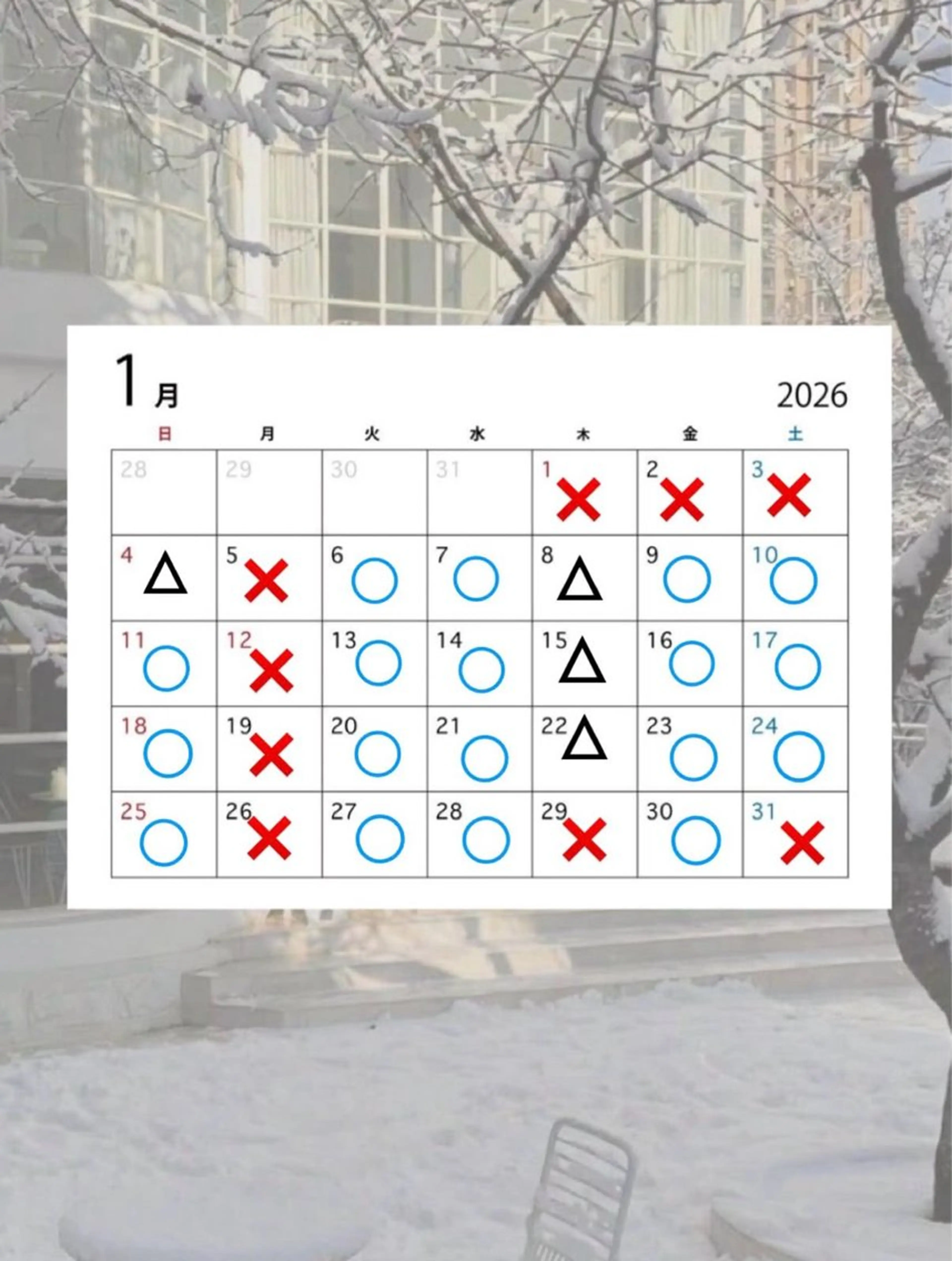 SHAMPOOBOY COIFF1RST長崎所属・大賀 鈴のヘアスタイル