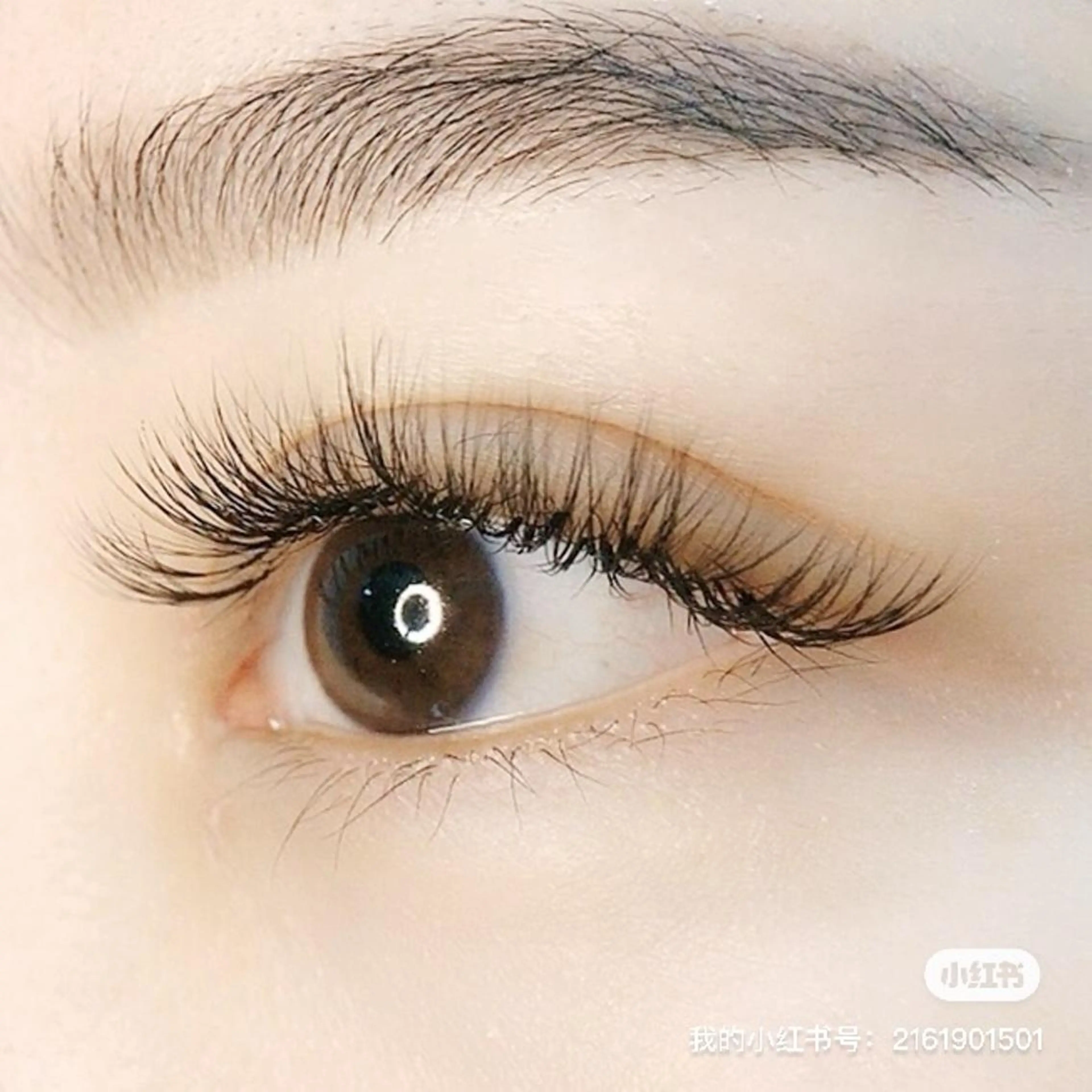 【LED付き】3Dボリュームラッシュ100束「束間仕上げ」の写真