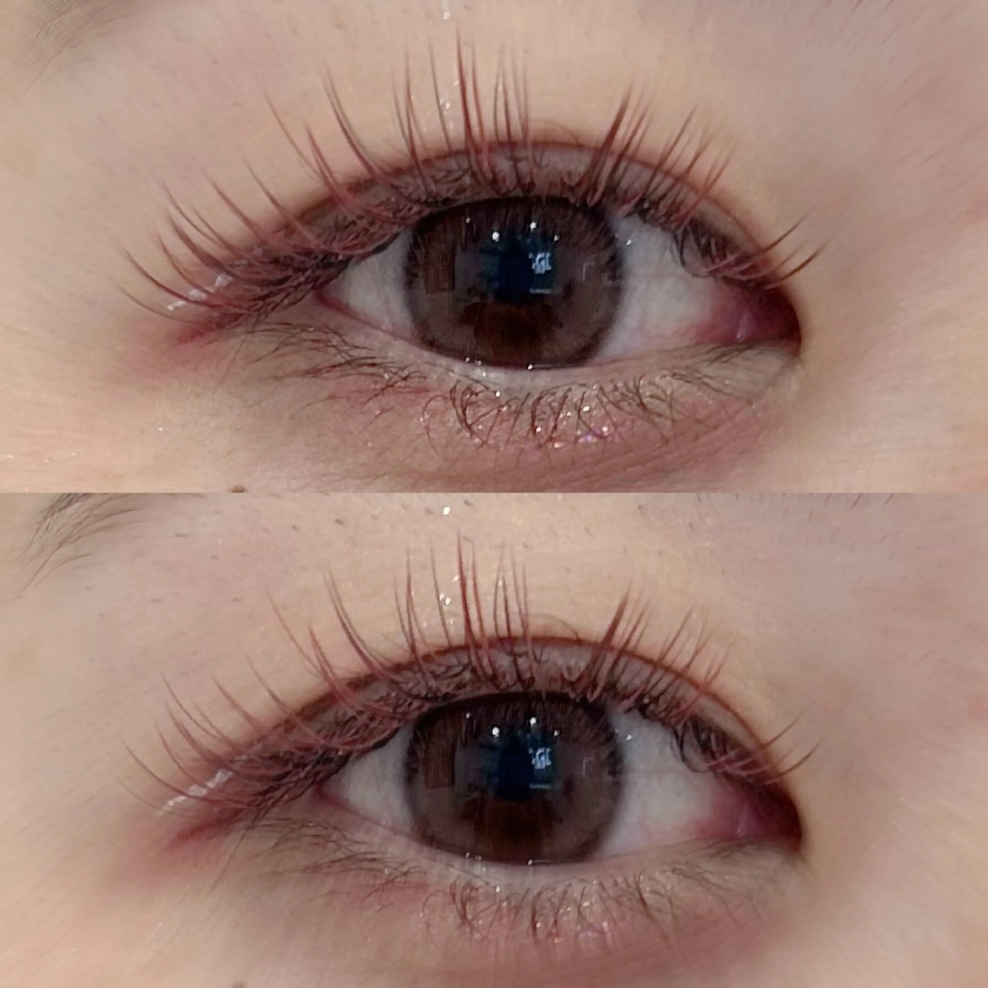 フラットマットラッシュ🫧100本（オールカラー）の写真